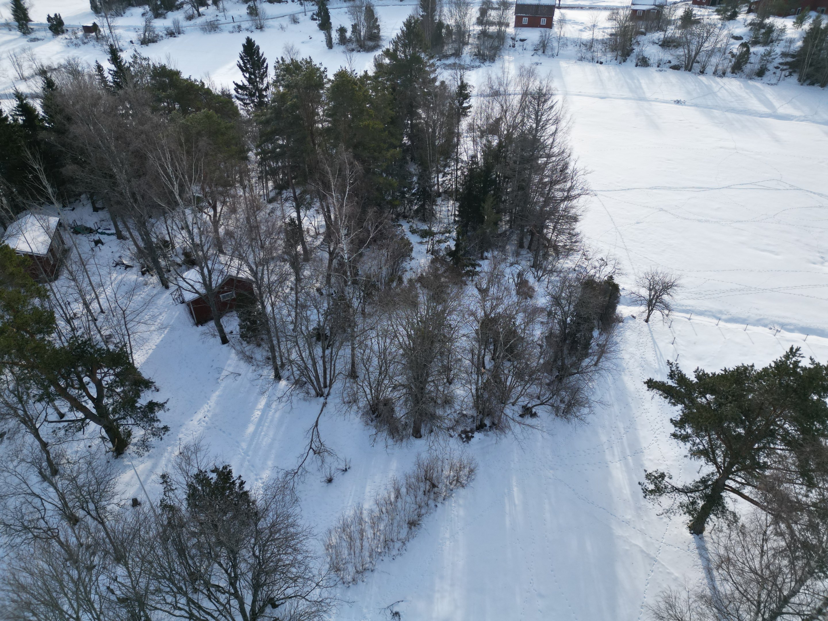Öppna ljusa omgivningar kring tomten