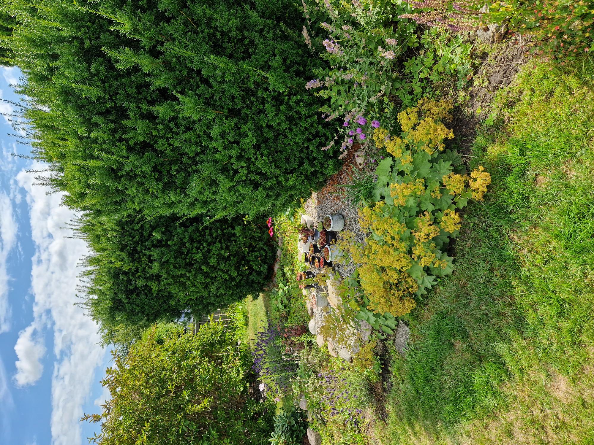 Trevliga planteringar - kunds bild sommar/vår