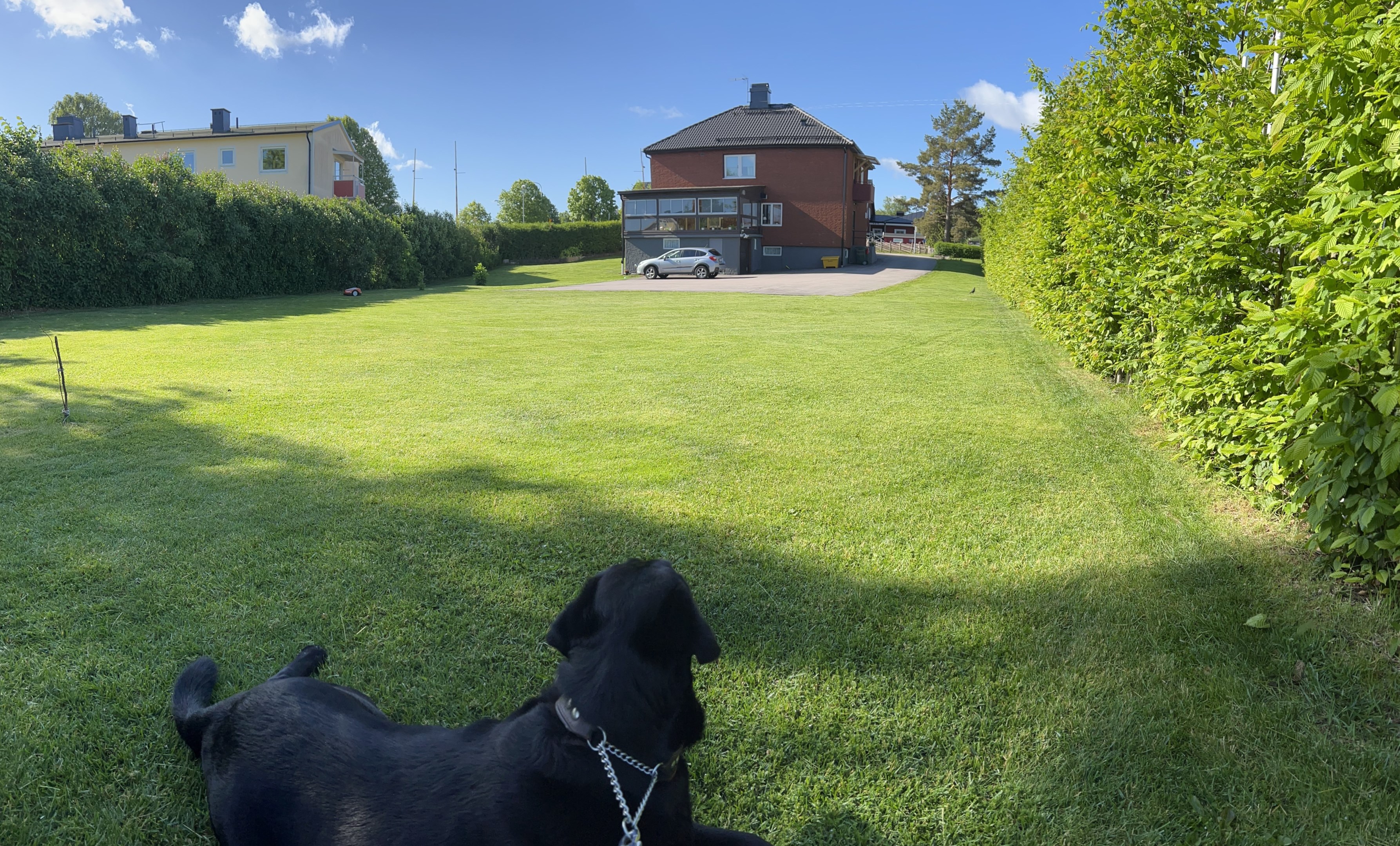 Härligt stor skyddad trädgård