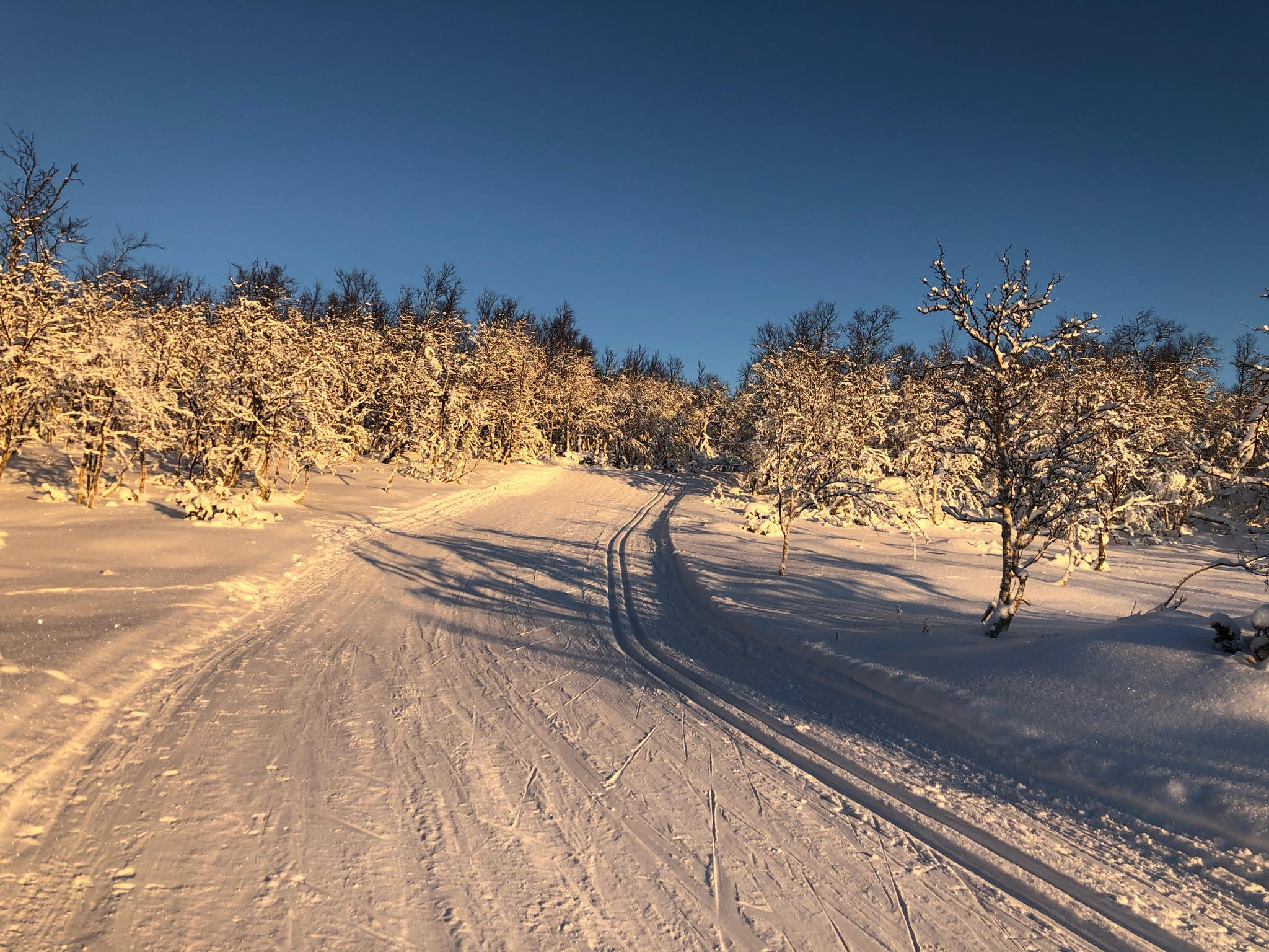 Spår och leder precis utanför husknuten! Perfekt för aktiviteter på vinterlovet.