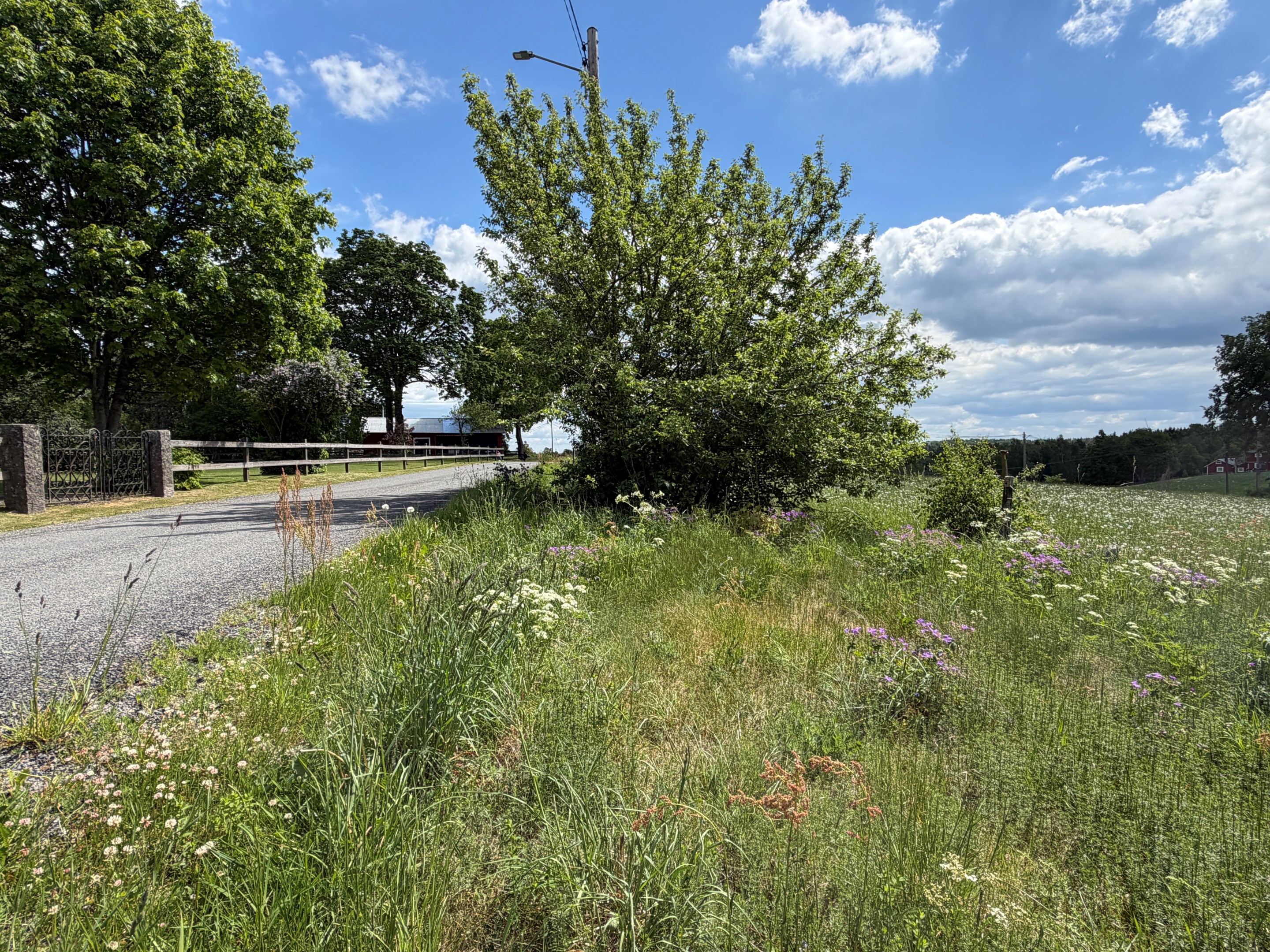 Vägrenen