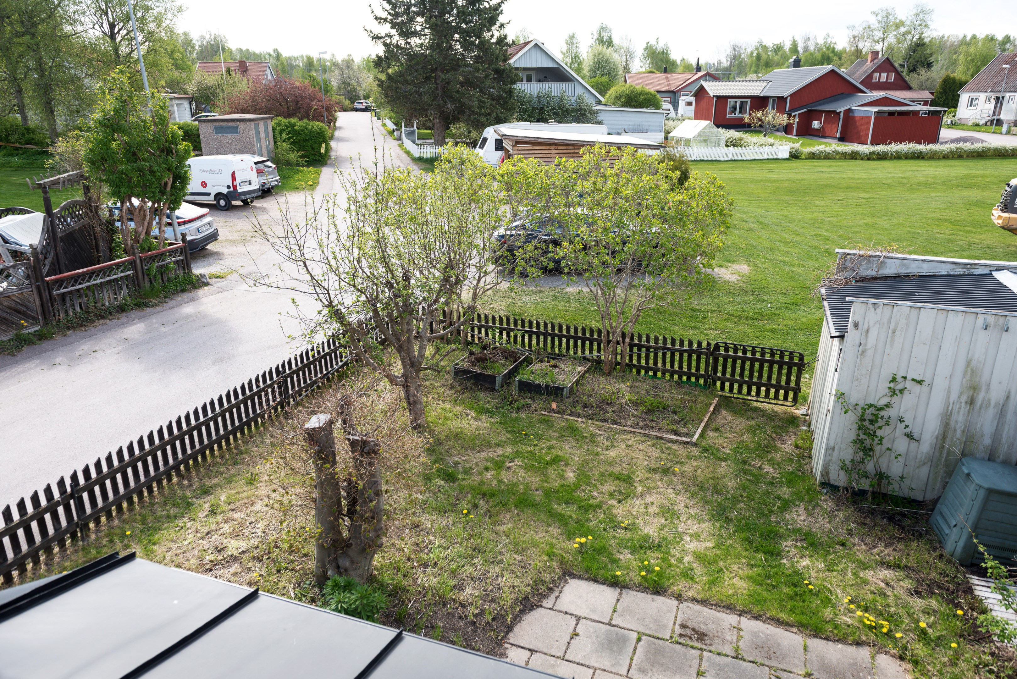 Trädgård