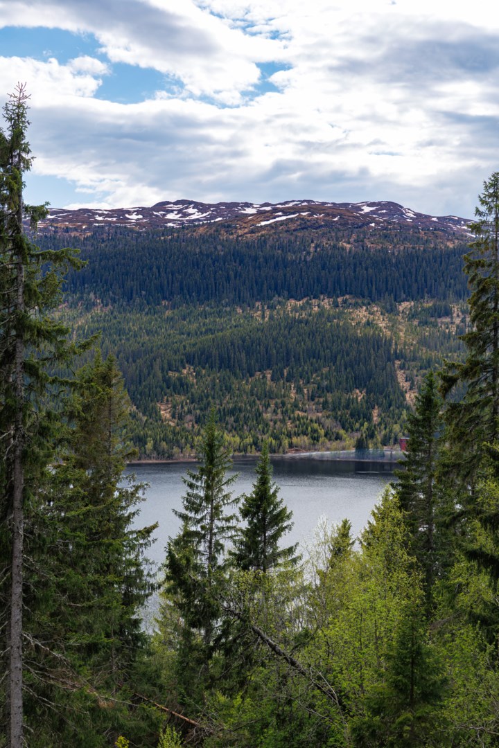 Solbringsvägen 31