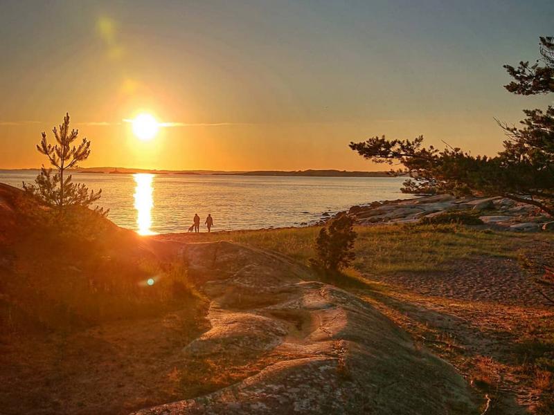 Kvällar i guld och rosa