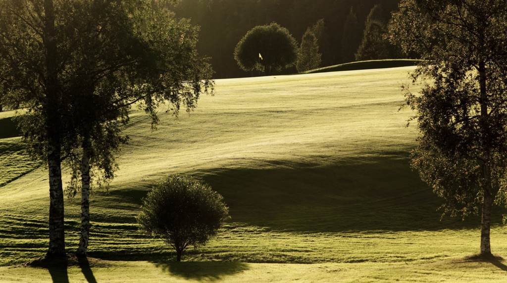 Sörfors golfbana