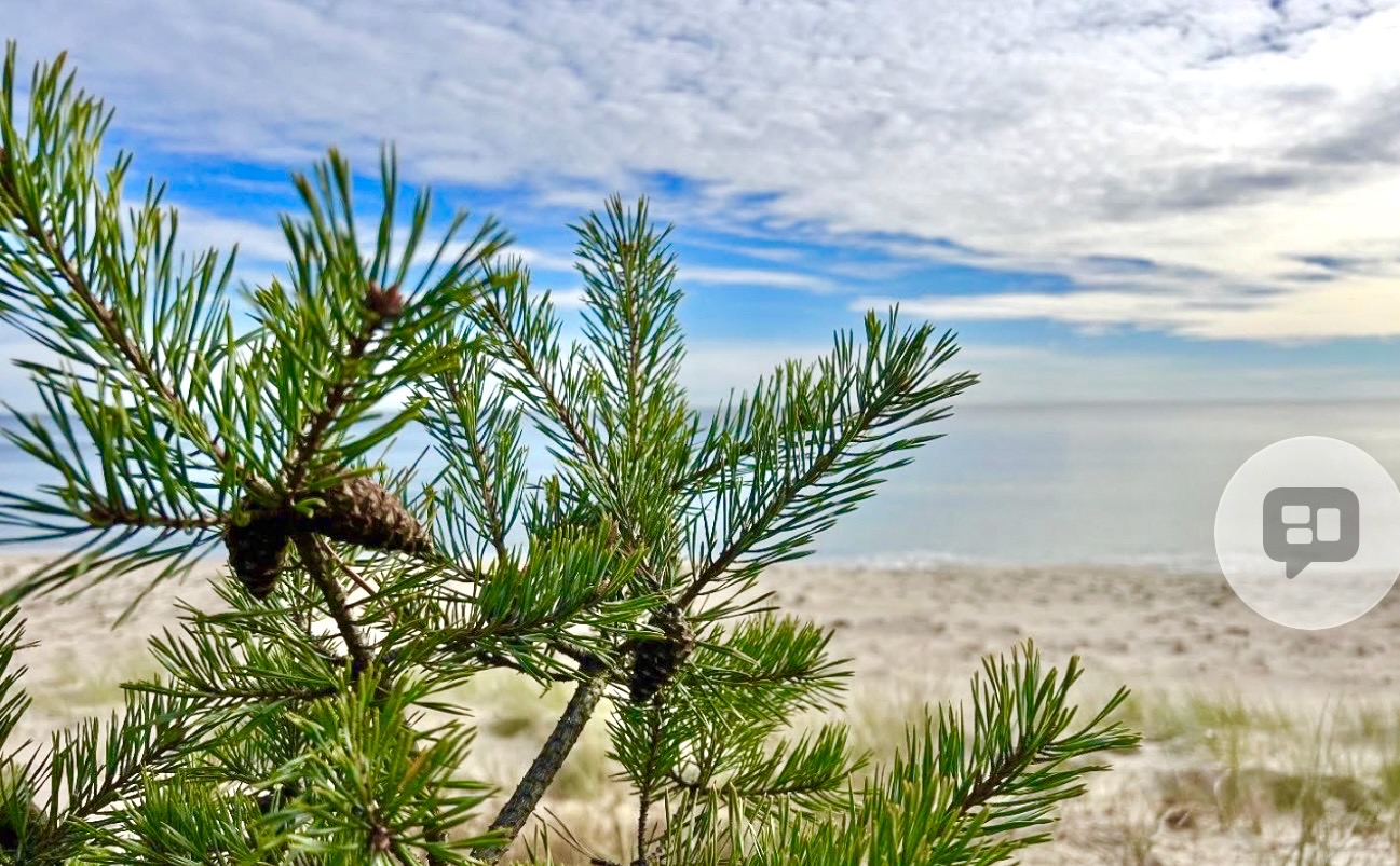 Tänk Dig att ligga och sola här