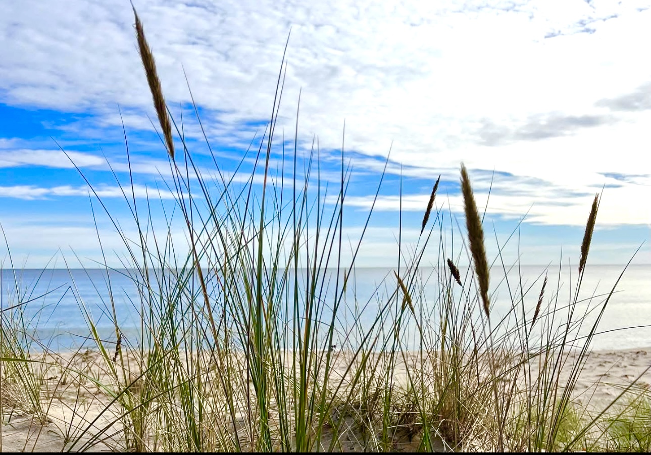 Villan ligger inte långt från havet ca 2 km