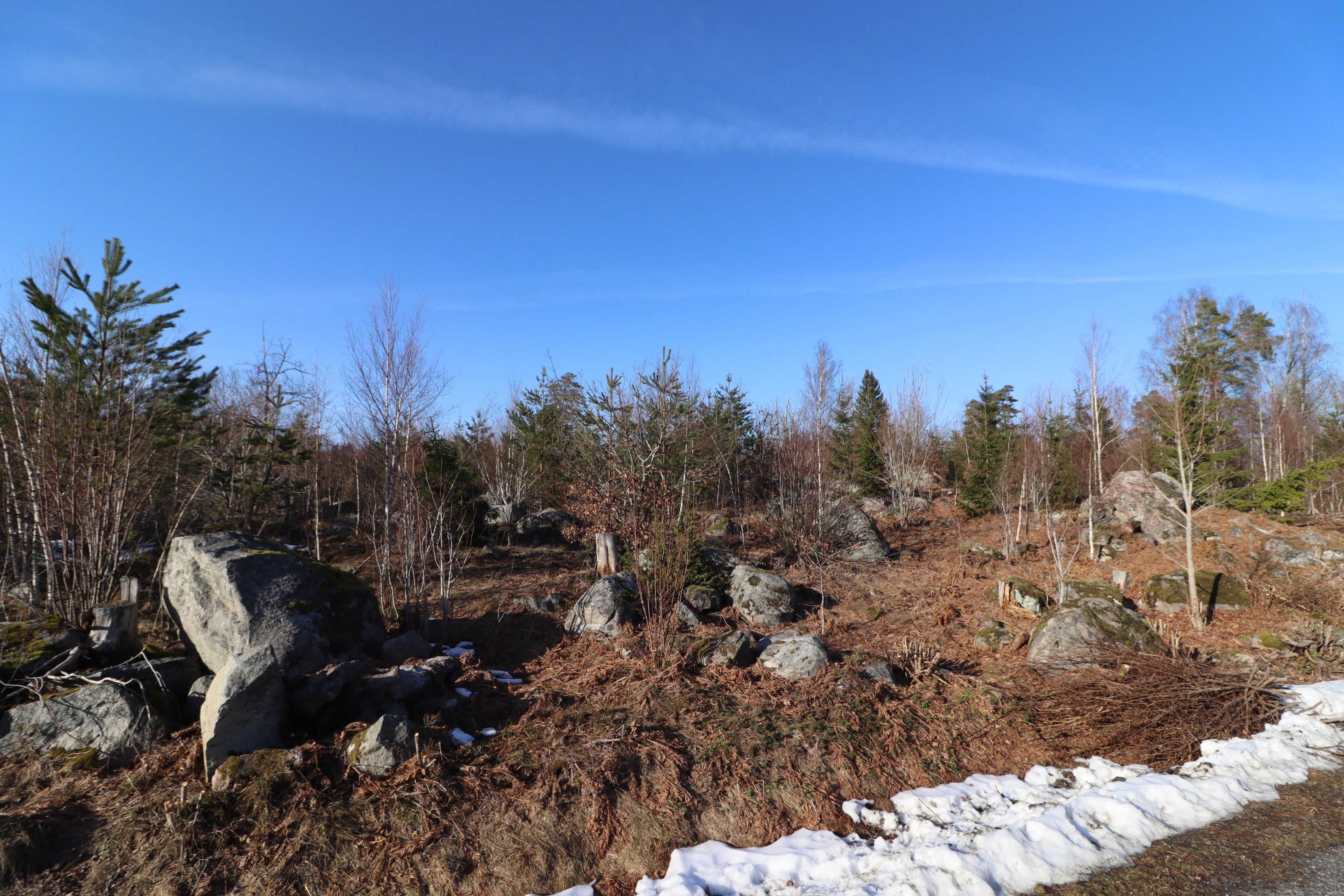 Fin naturtomt Rilanda 4:3