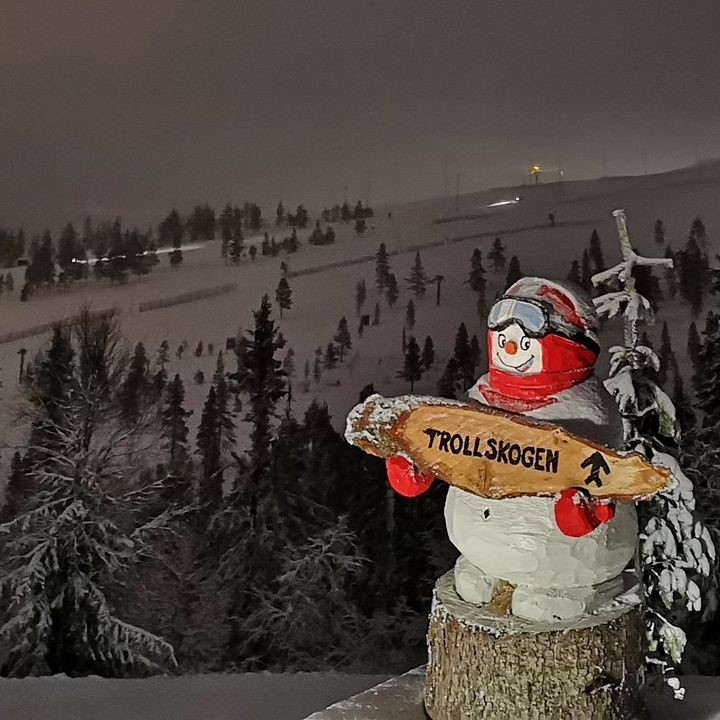 Trollskogen i Sälen bjuder på sagor, troll och konst i fjällskog – en magisk utflykt för familjen