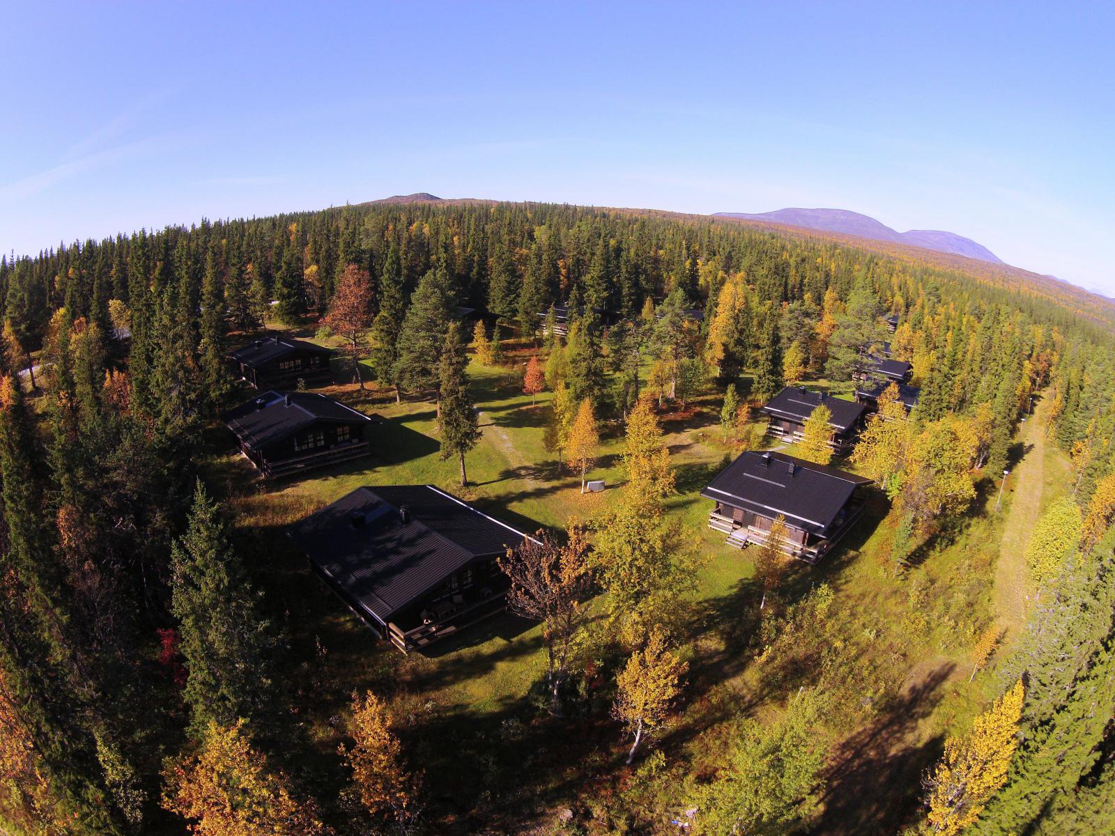 En oas uppe på fjället, ett riktigt smultronställe