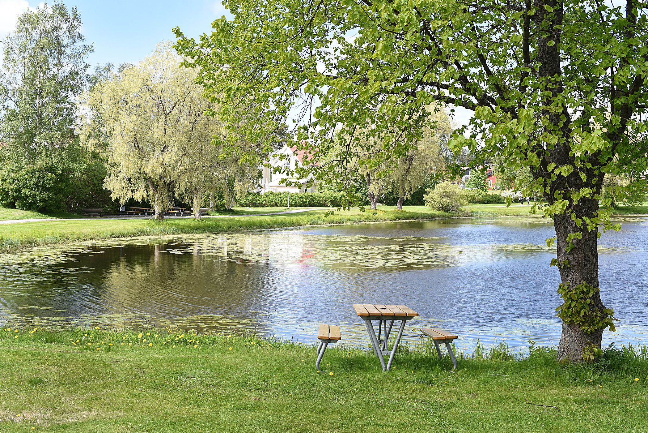 Park