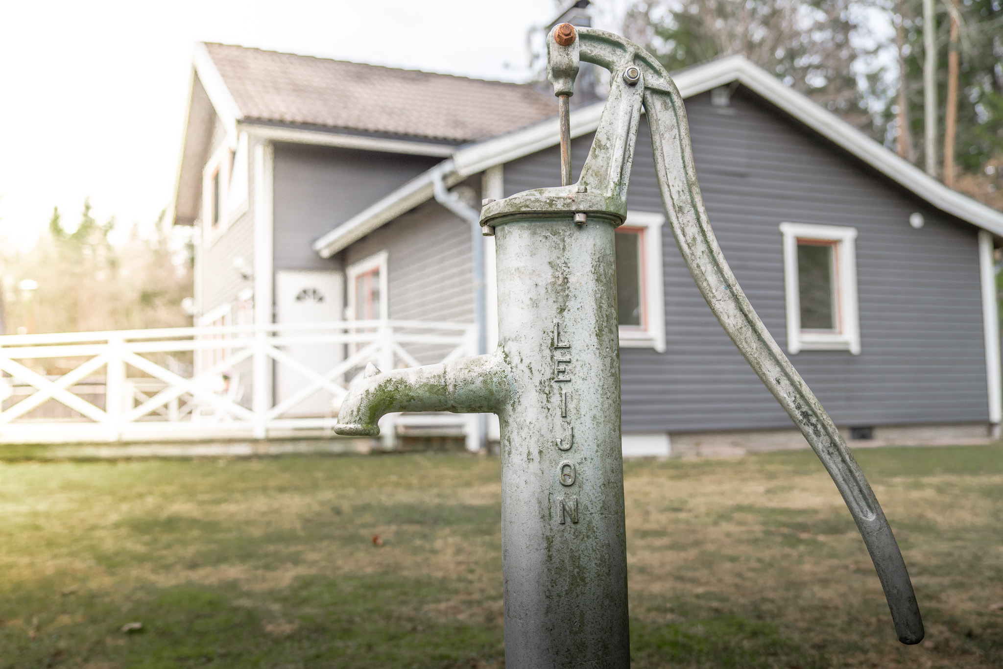 Liten detalj i trädgården