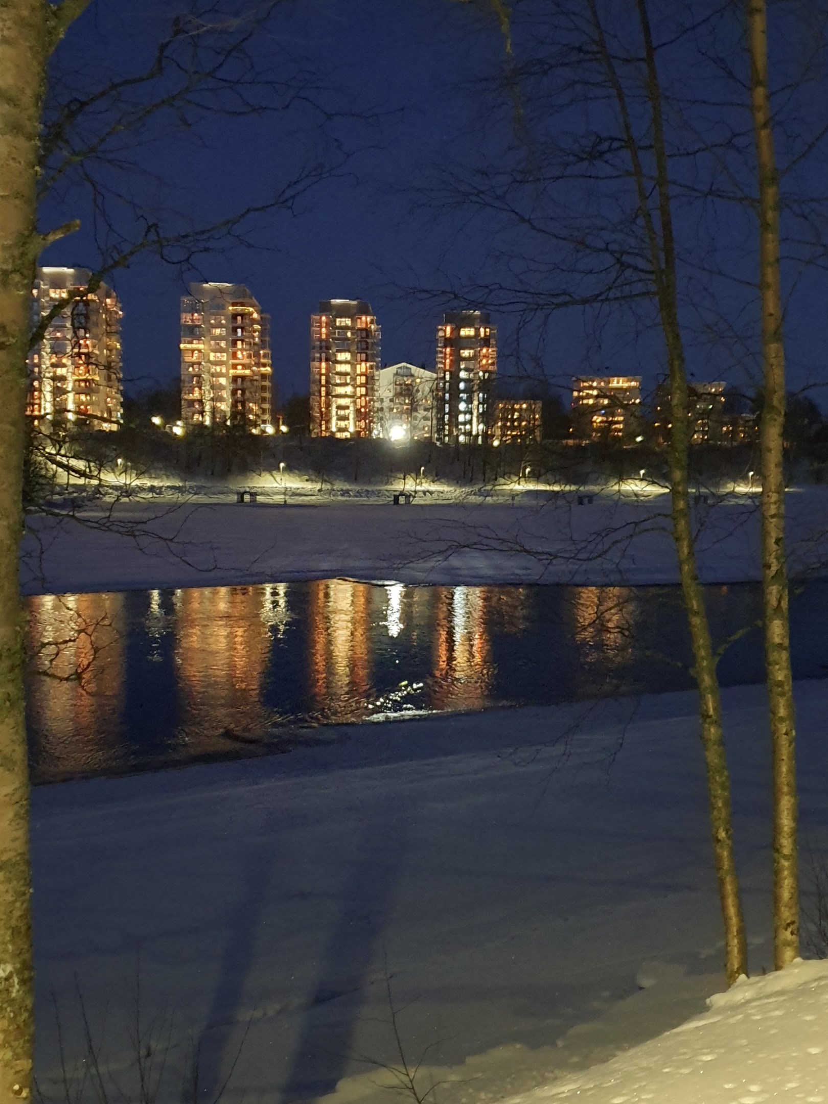 Områdesbild- Vy från Bölesholmarna