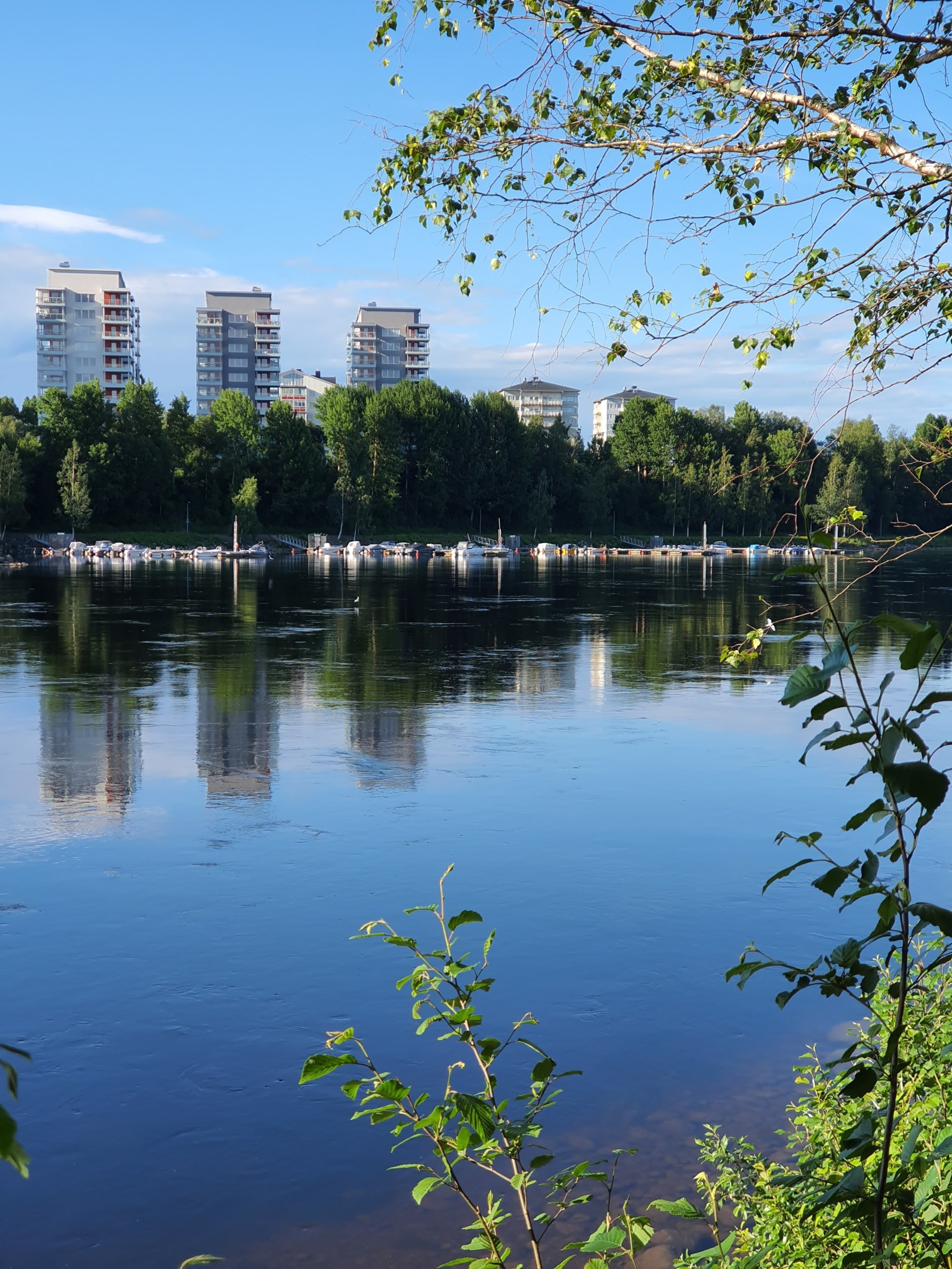 Områdesbild- Sommar från Bölesholmarna