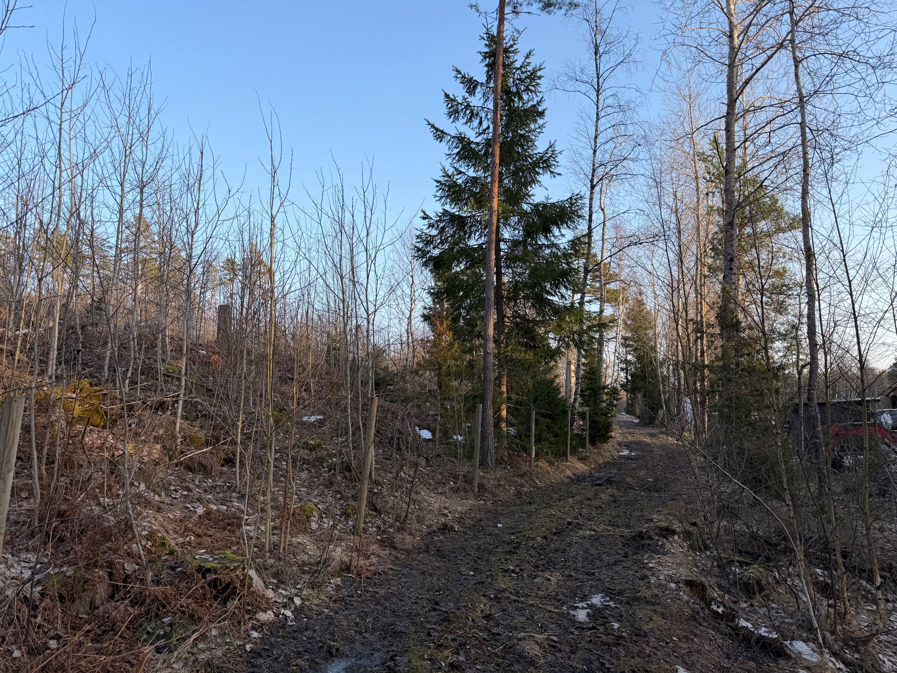 Stig/Traktorväg mot skifte 2