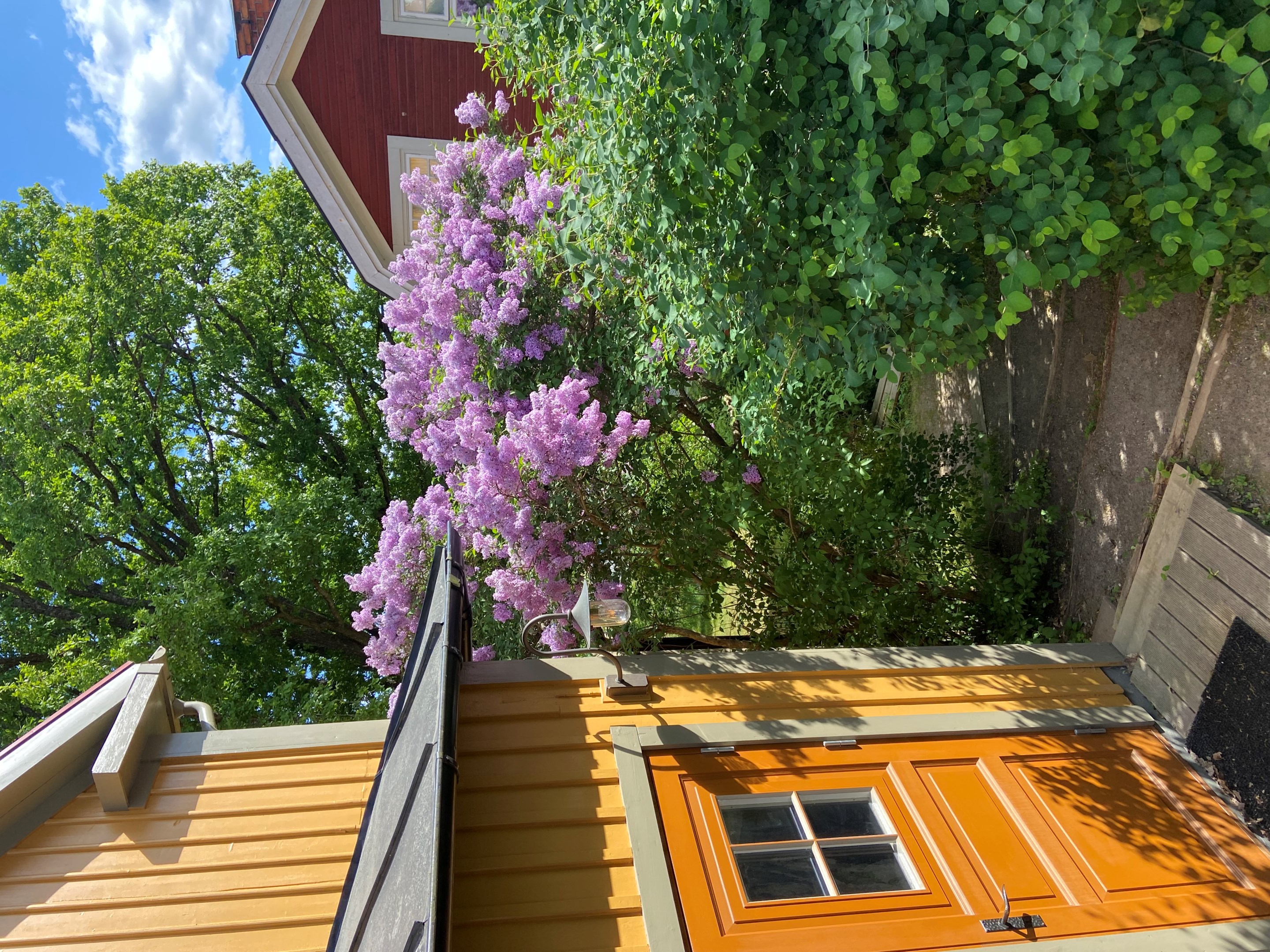 Säljarens privata bilder