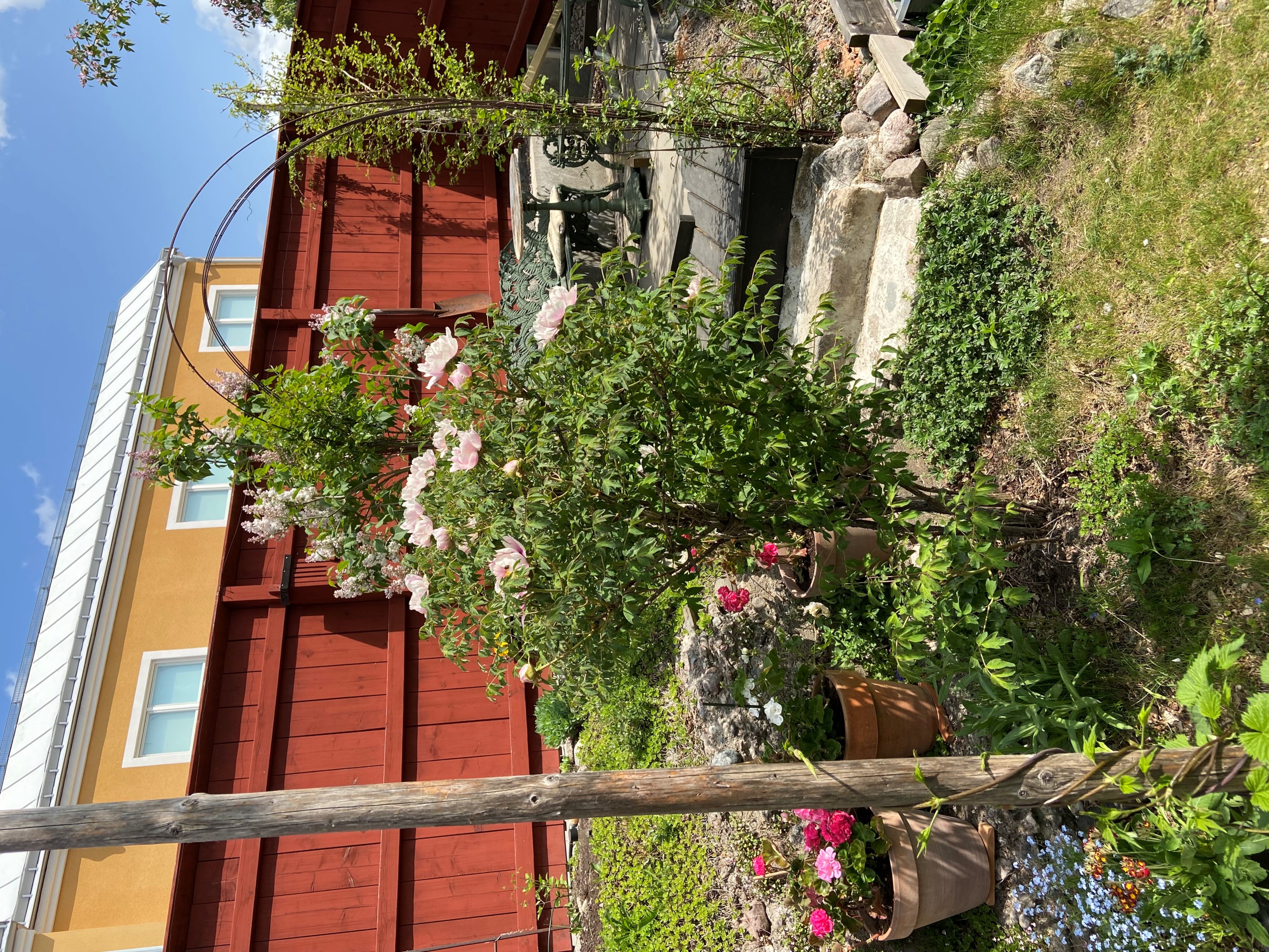 Säljarens privata bilder