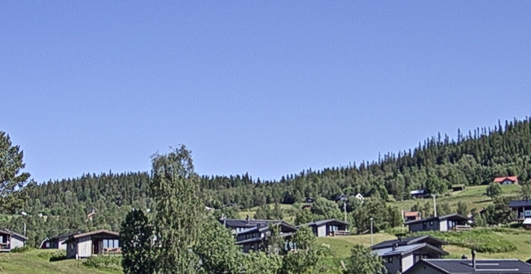 En oas uppe på fjället