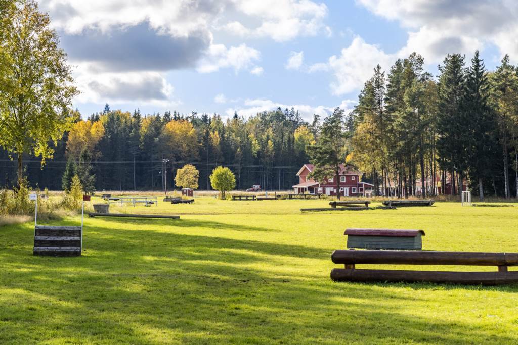 Lågupplöst Runsten Village