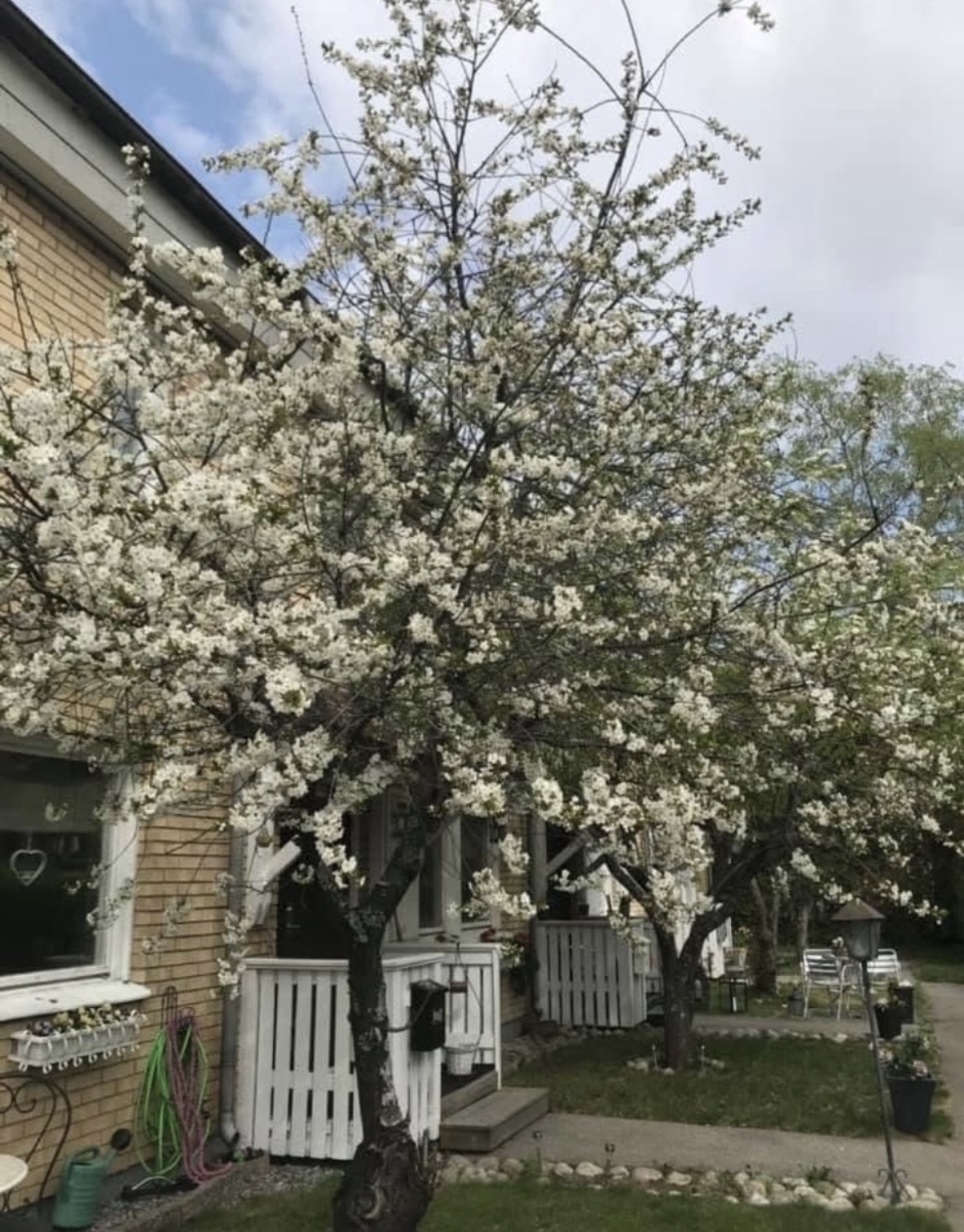 Säljarens privata bilder