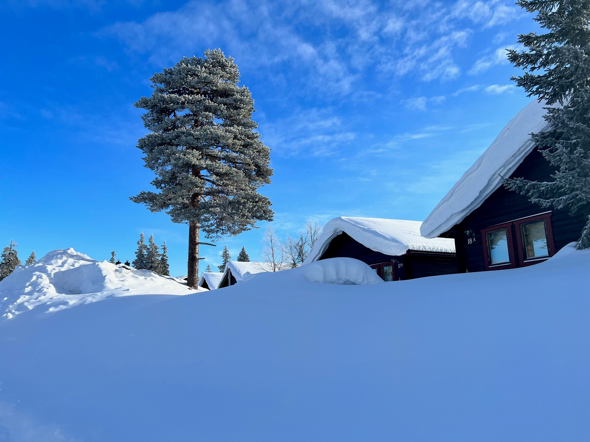 Söker du lugnet, har du hamnat helt rätt