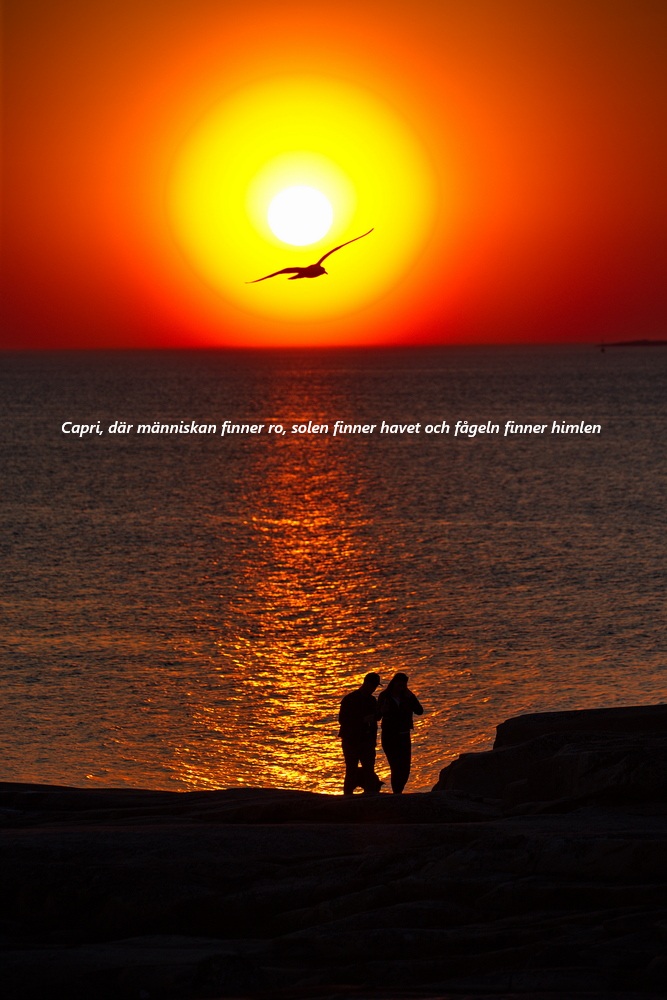 Capri, där människan finner ro, solen finner havet och fågeln finner himlen NETHEM