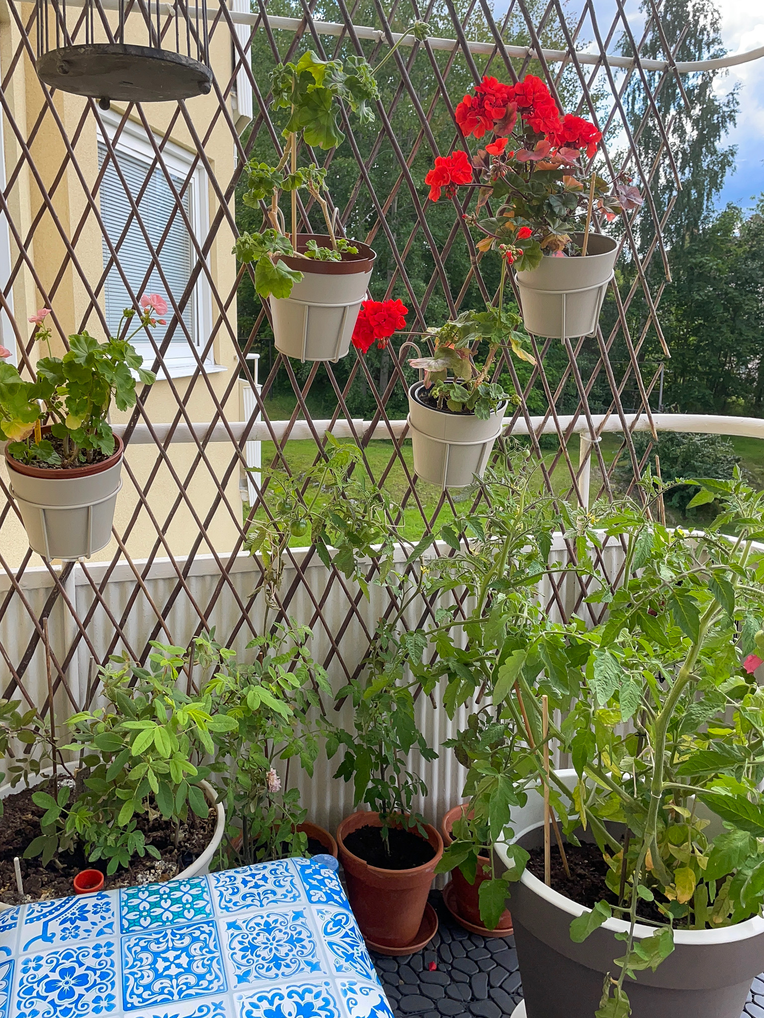 Säljarens sommarbilder