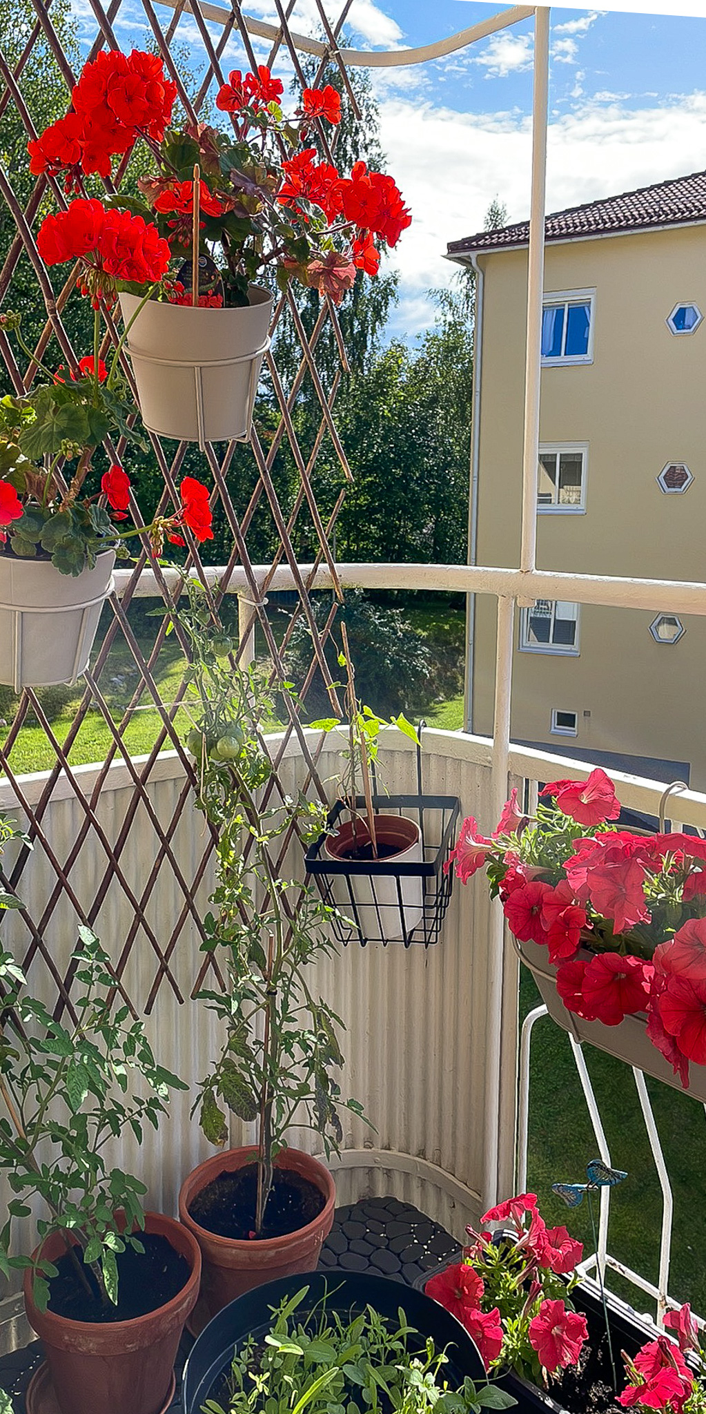 Säljarens sommarbilder