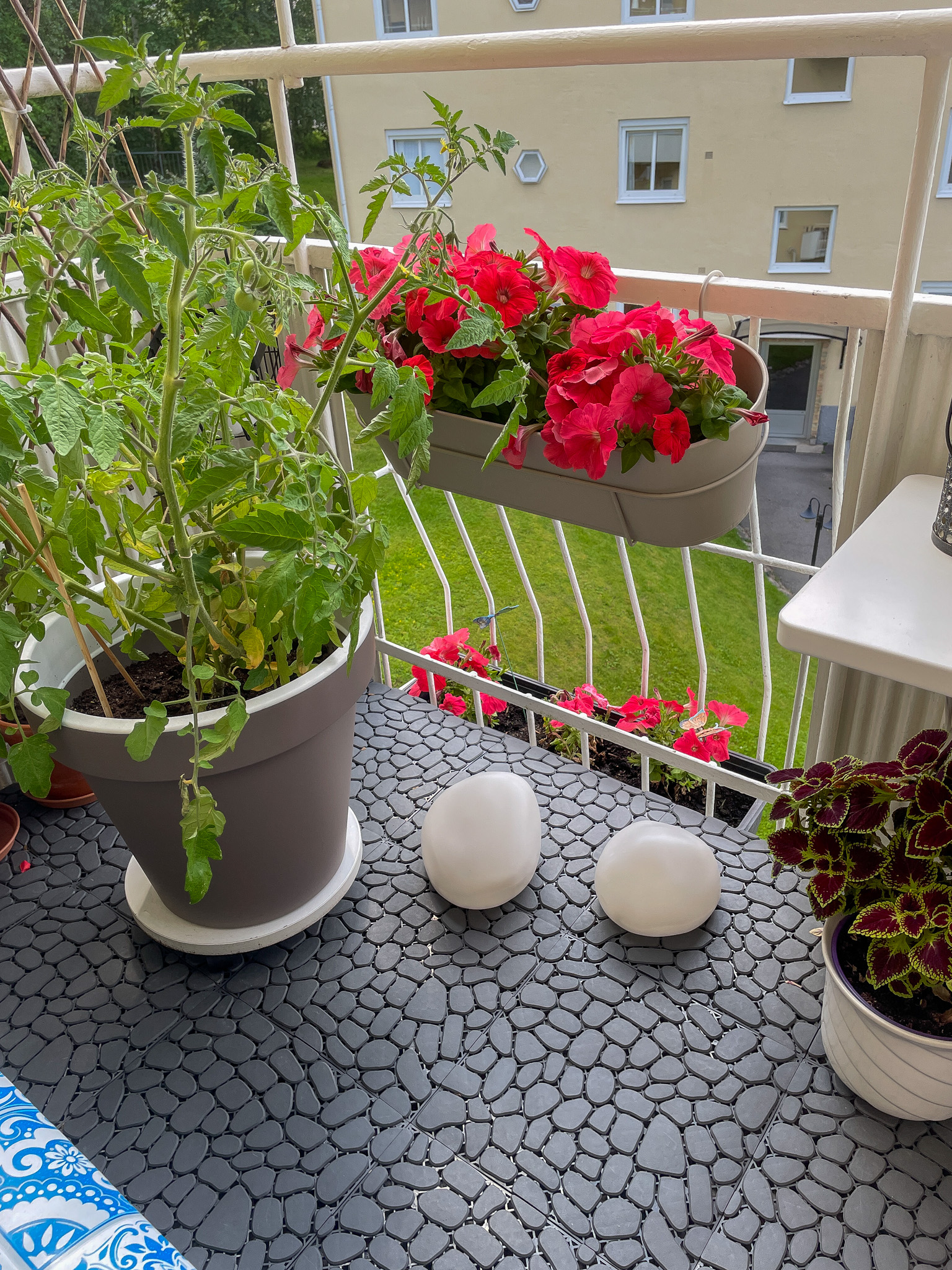 Säljarens sommarbilder