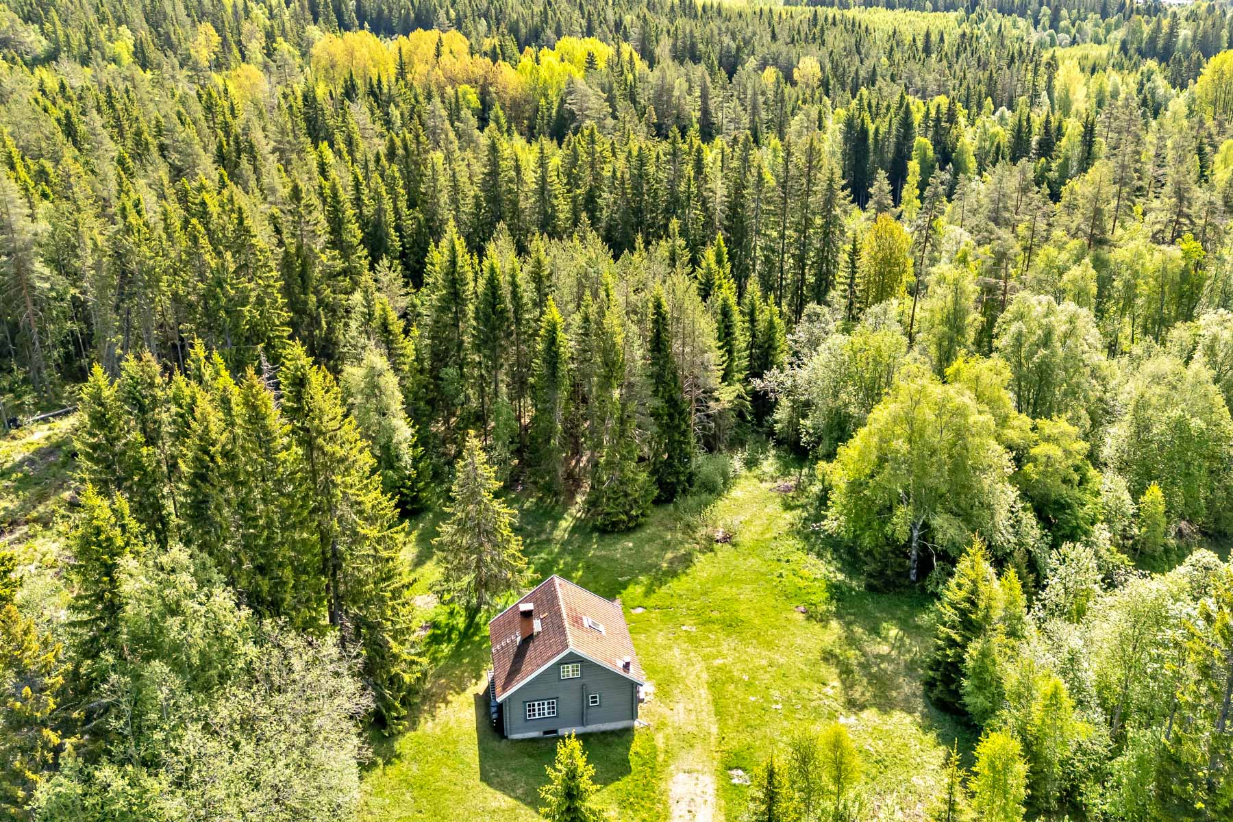 Översikts bild