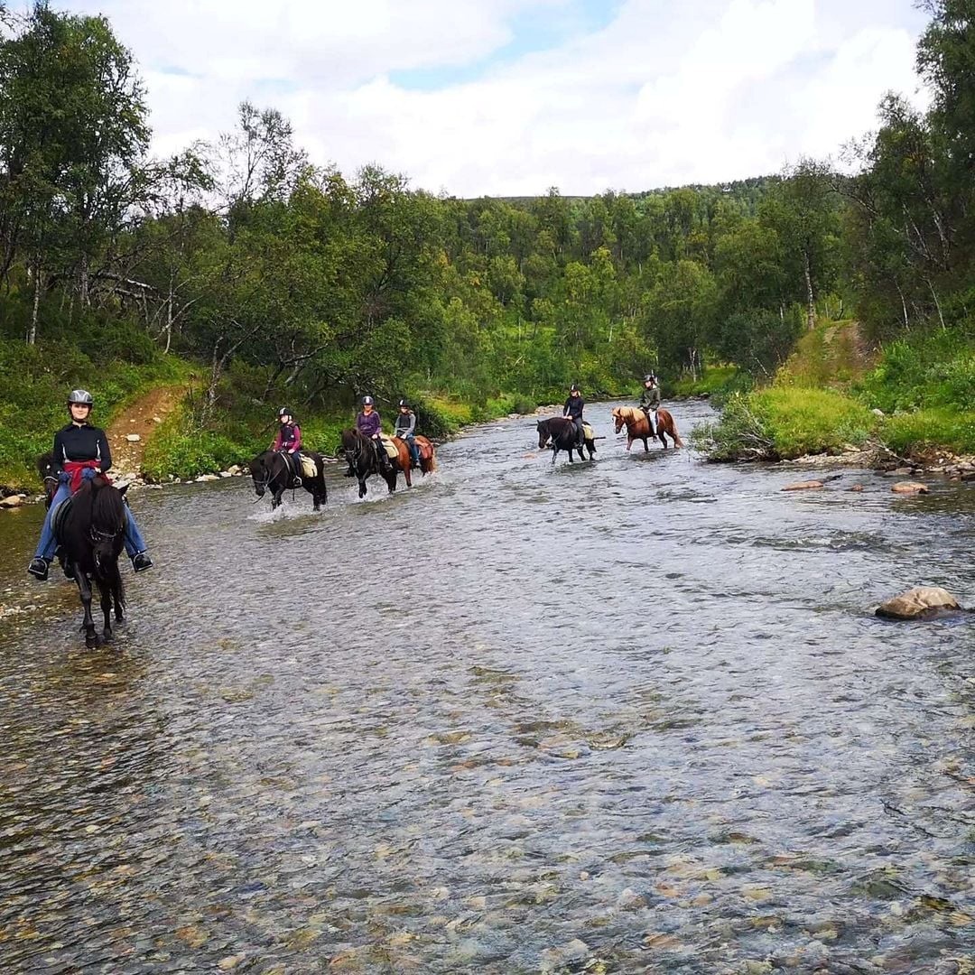 Uppleva fjällnaturen på hästryggen. Fjällpilens islandshästar.jpg a