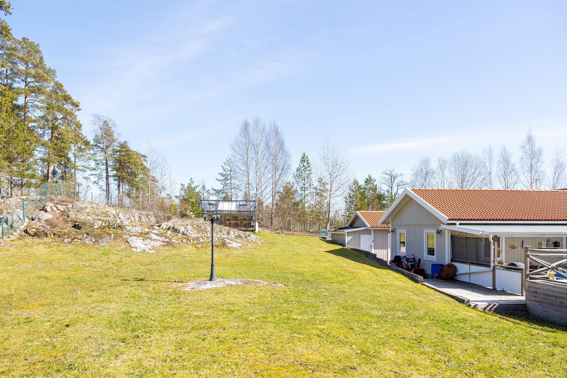 Stor härlig gräsmatta med skogen i ryggen