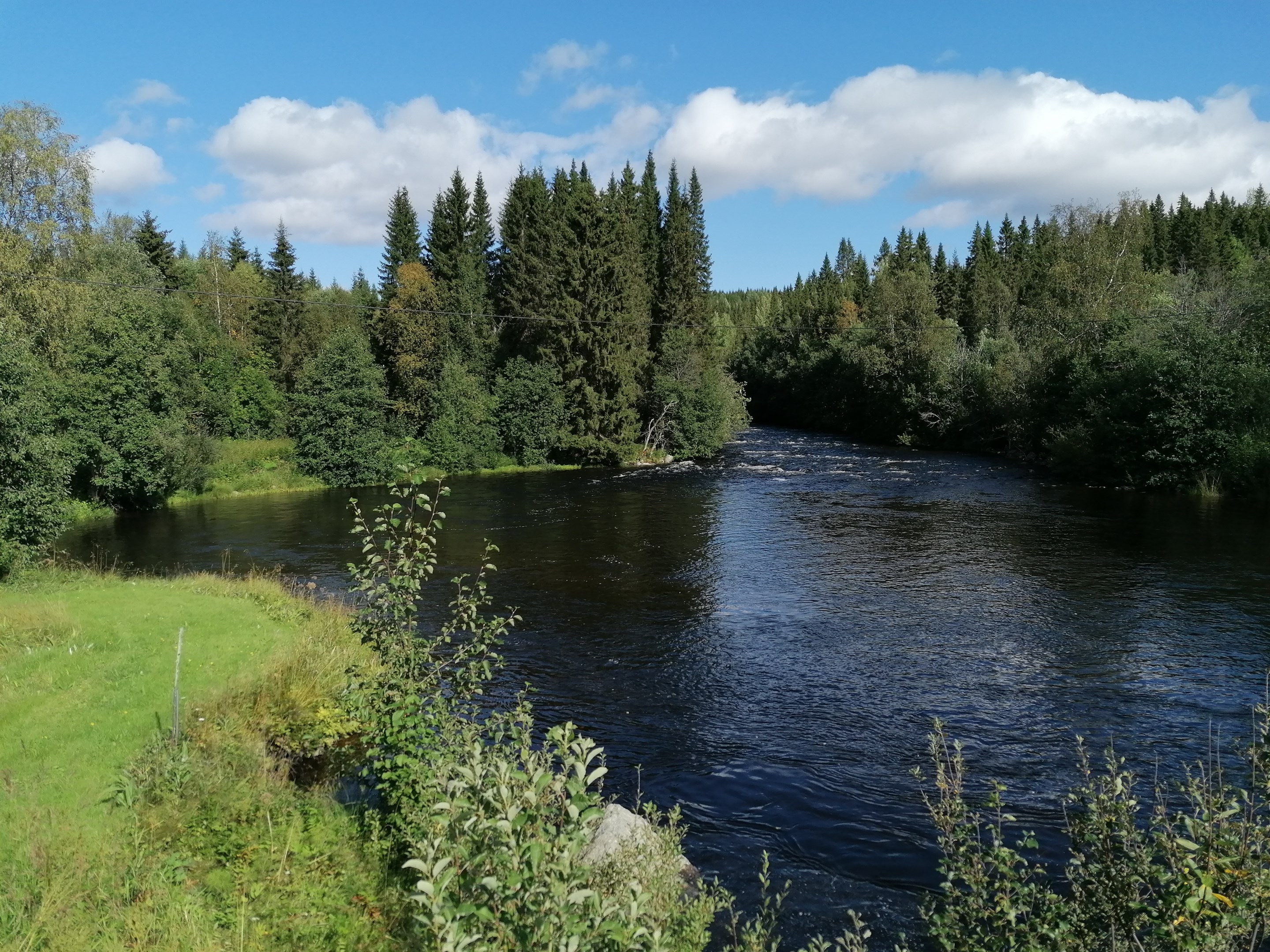 Gunnarvattensån, sommarbild