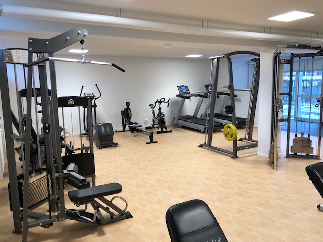 Gym 100 kr/mån