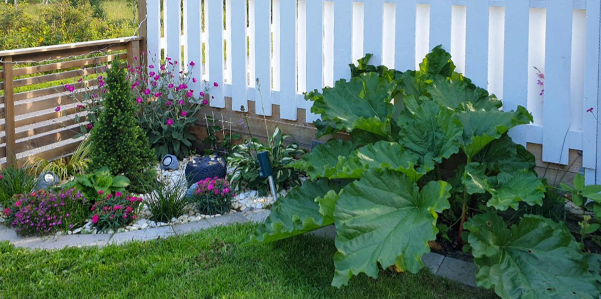 Säljarens sommarbilder