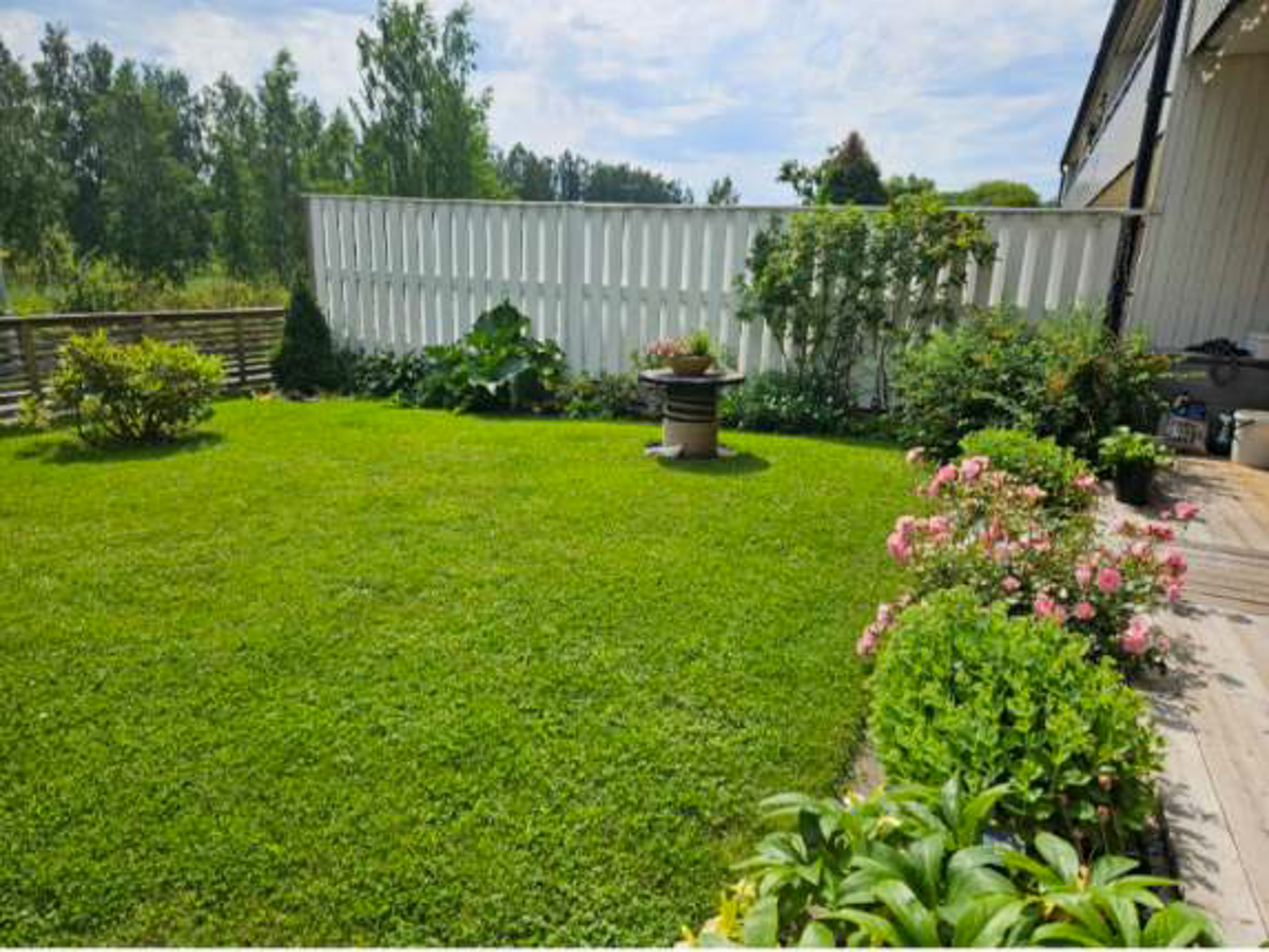 Säljarens sommarbilder