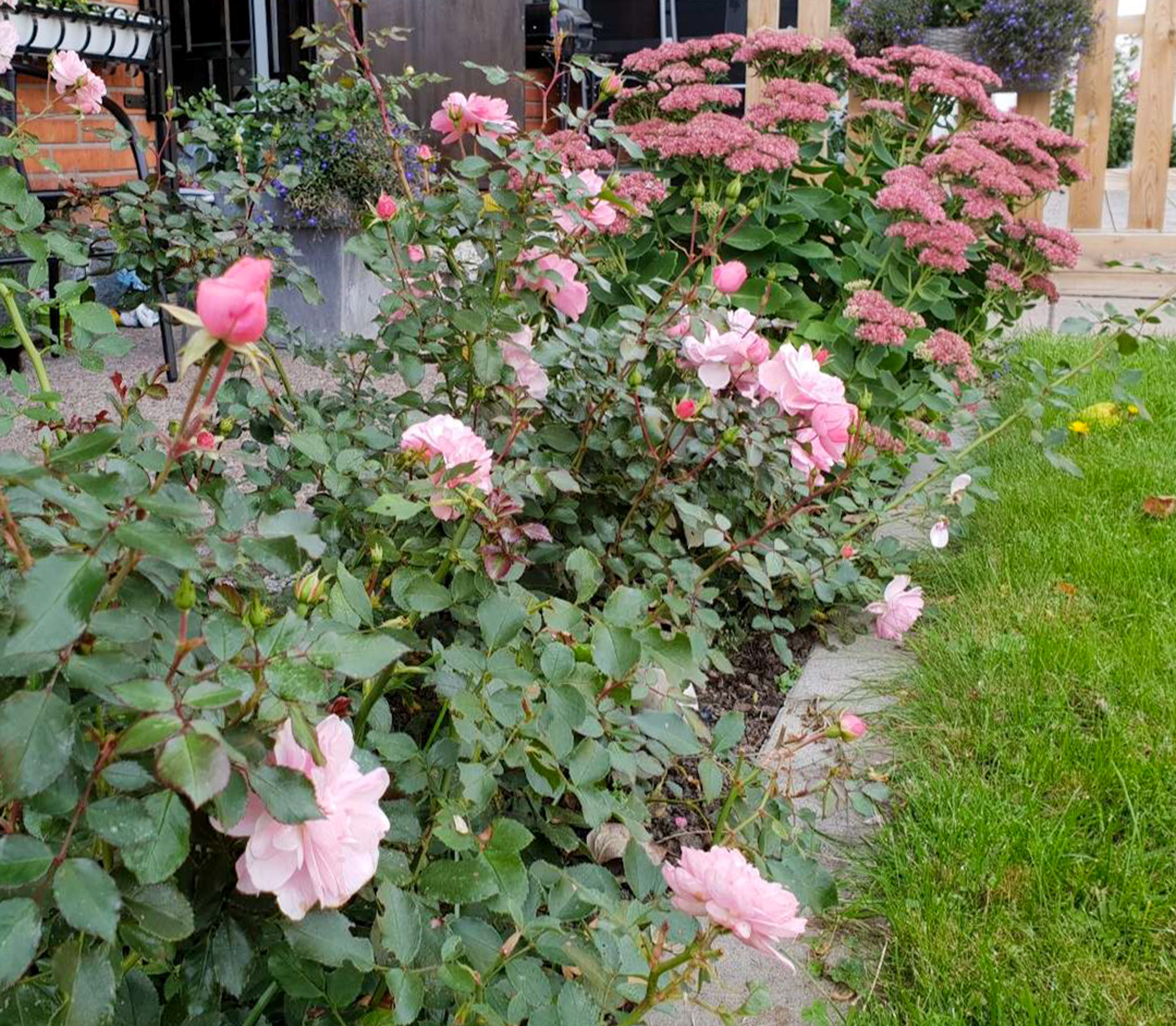 Säljarens sommarbilder