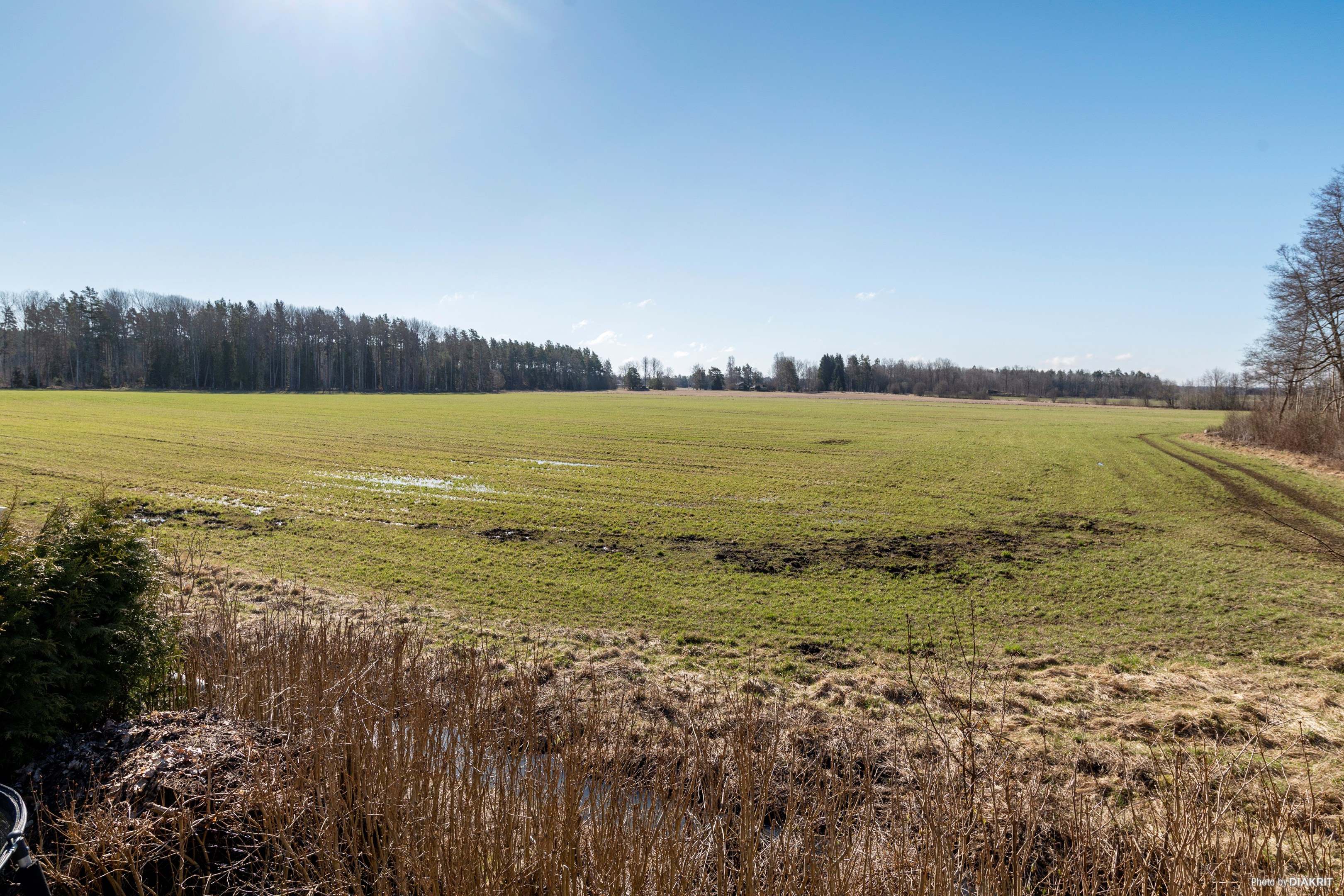 Utsikt från altanen