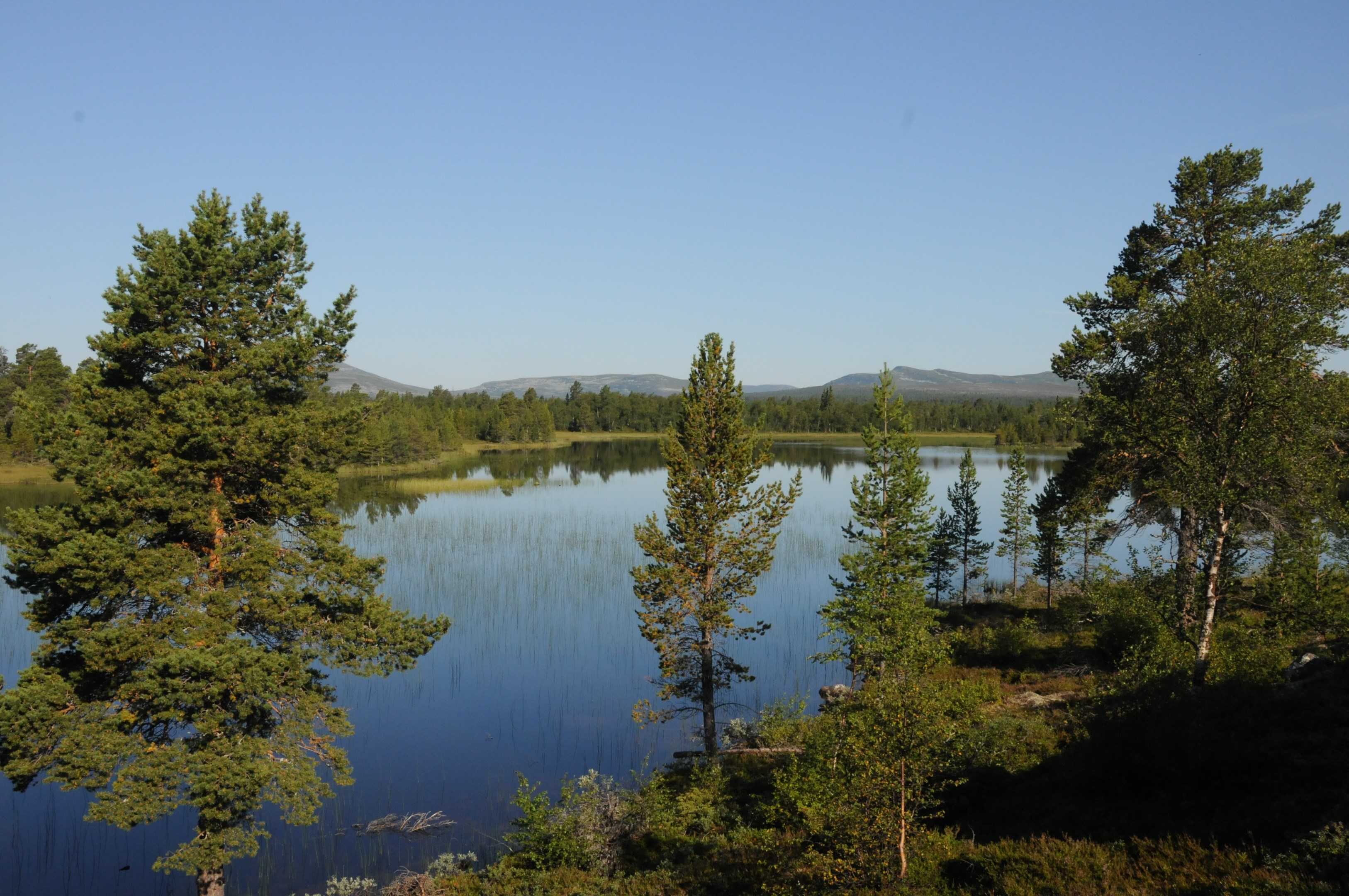 Finns det något härligare än hög klar fjälluft?