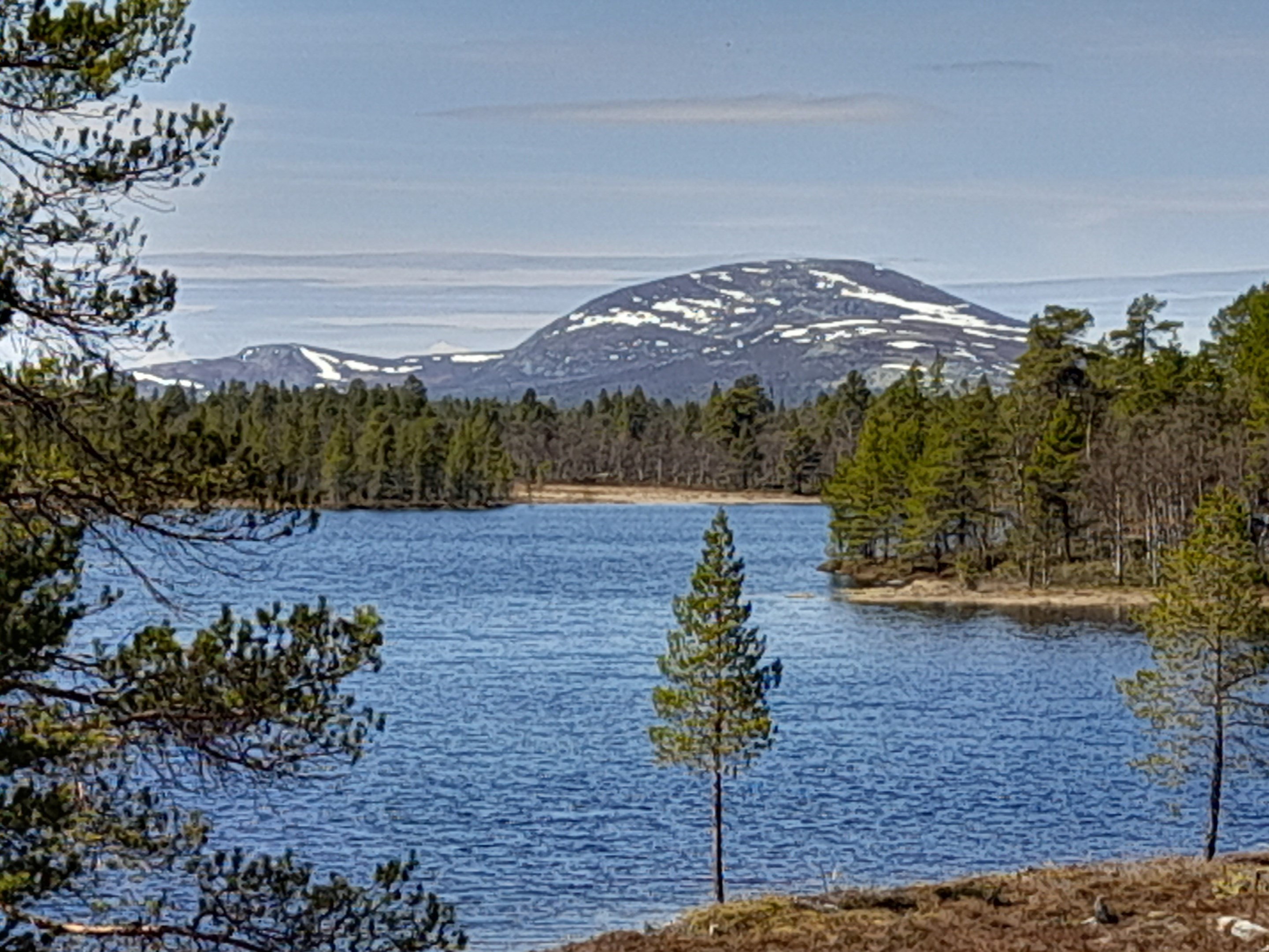 Fjällvattnet där fjäll möter sjön Vattnan