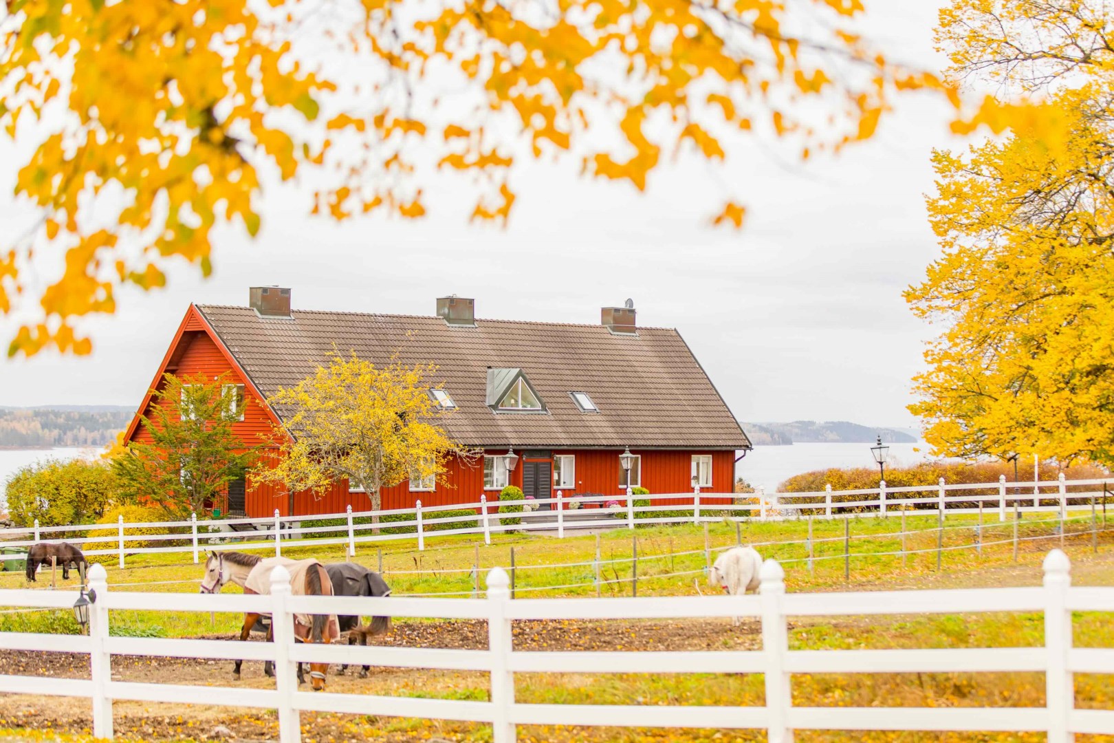 Öjerviks gård