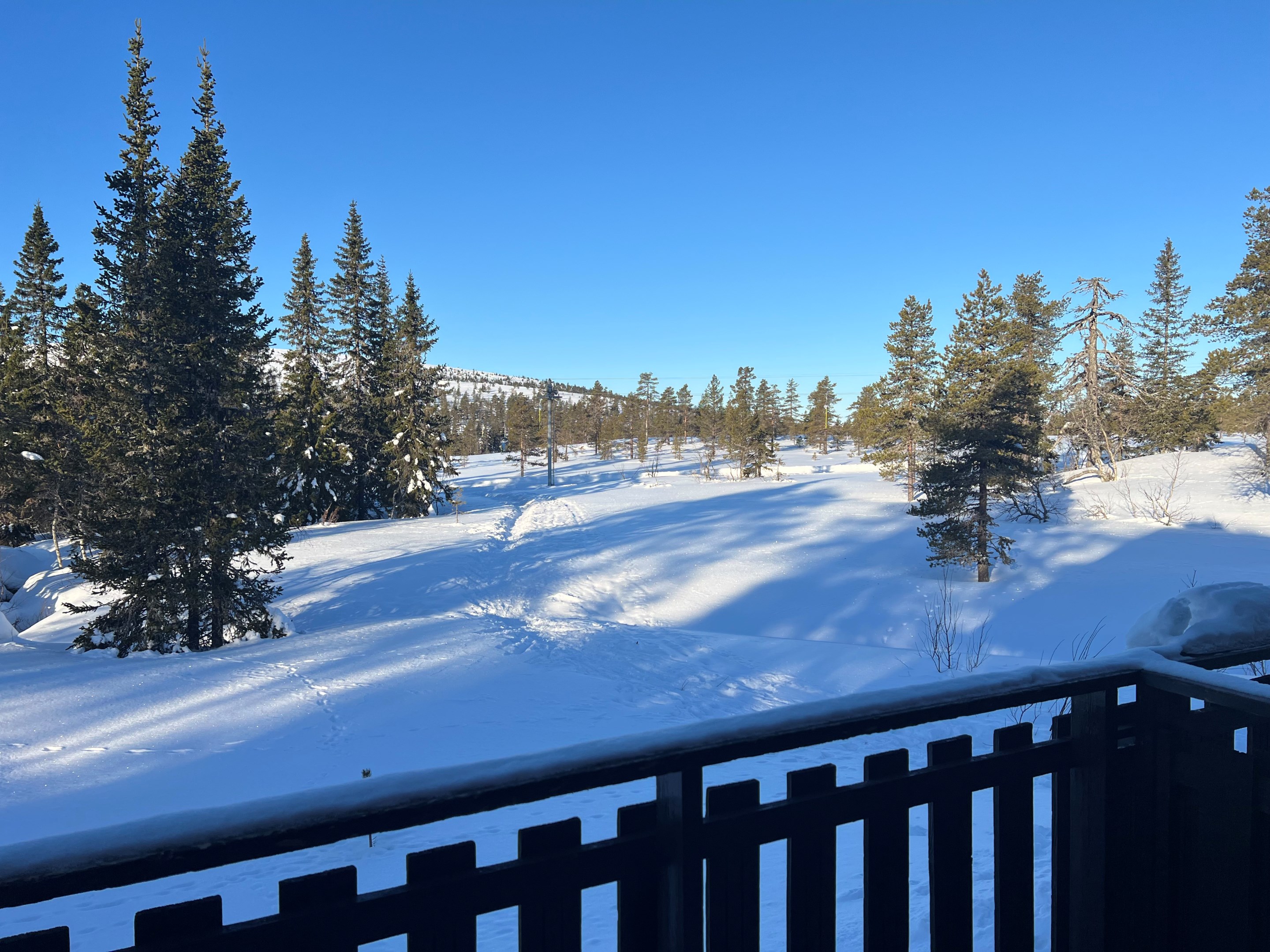 Vy från altan mot släpliftarna