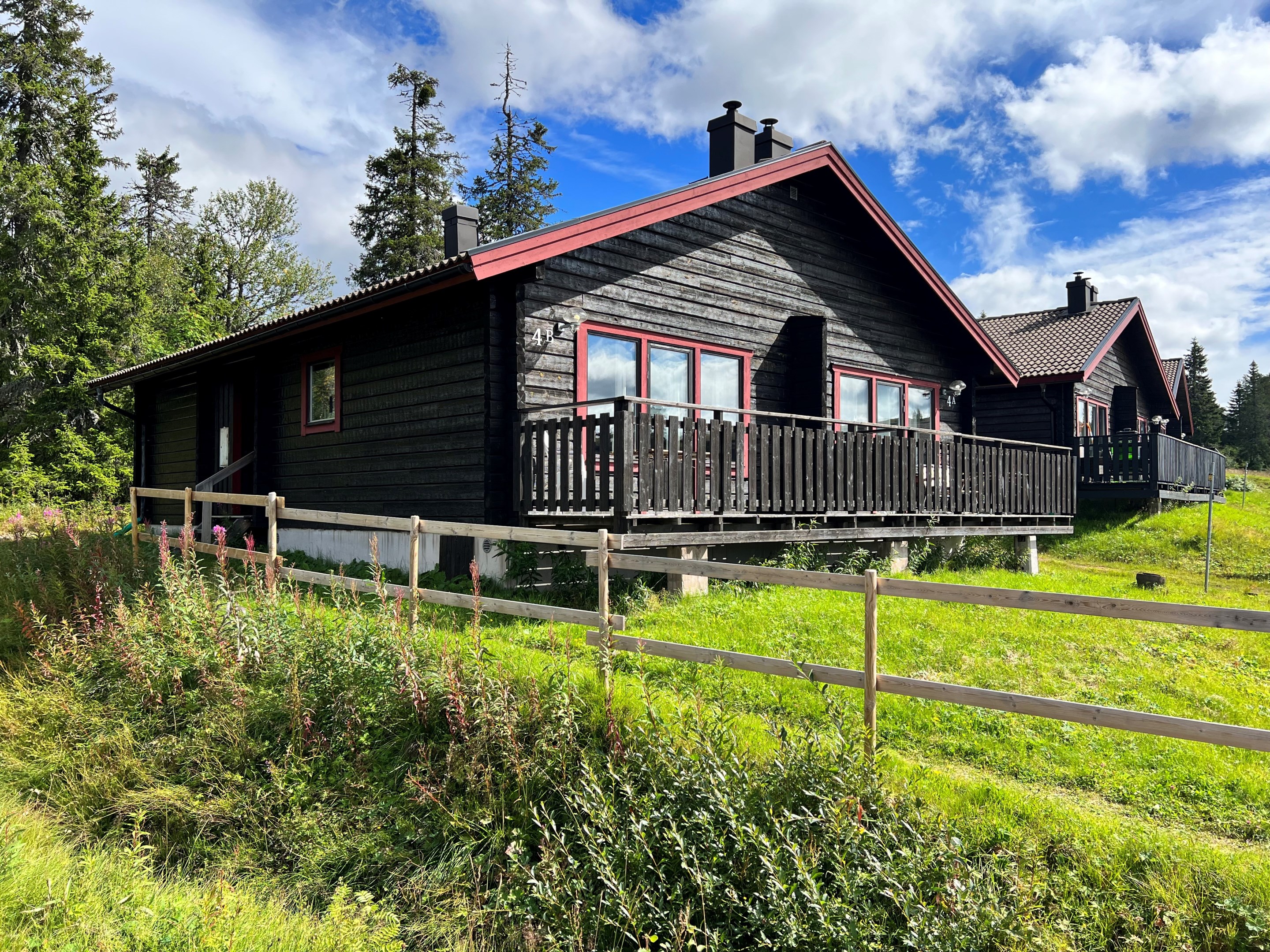 Sommarbild Hemfjällsbyn. SÄLEN