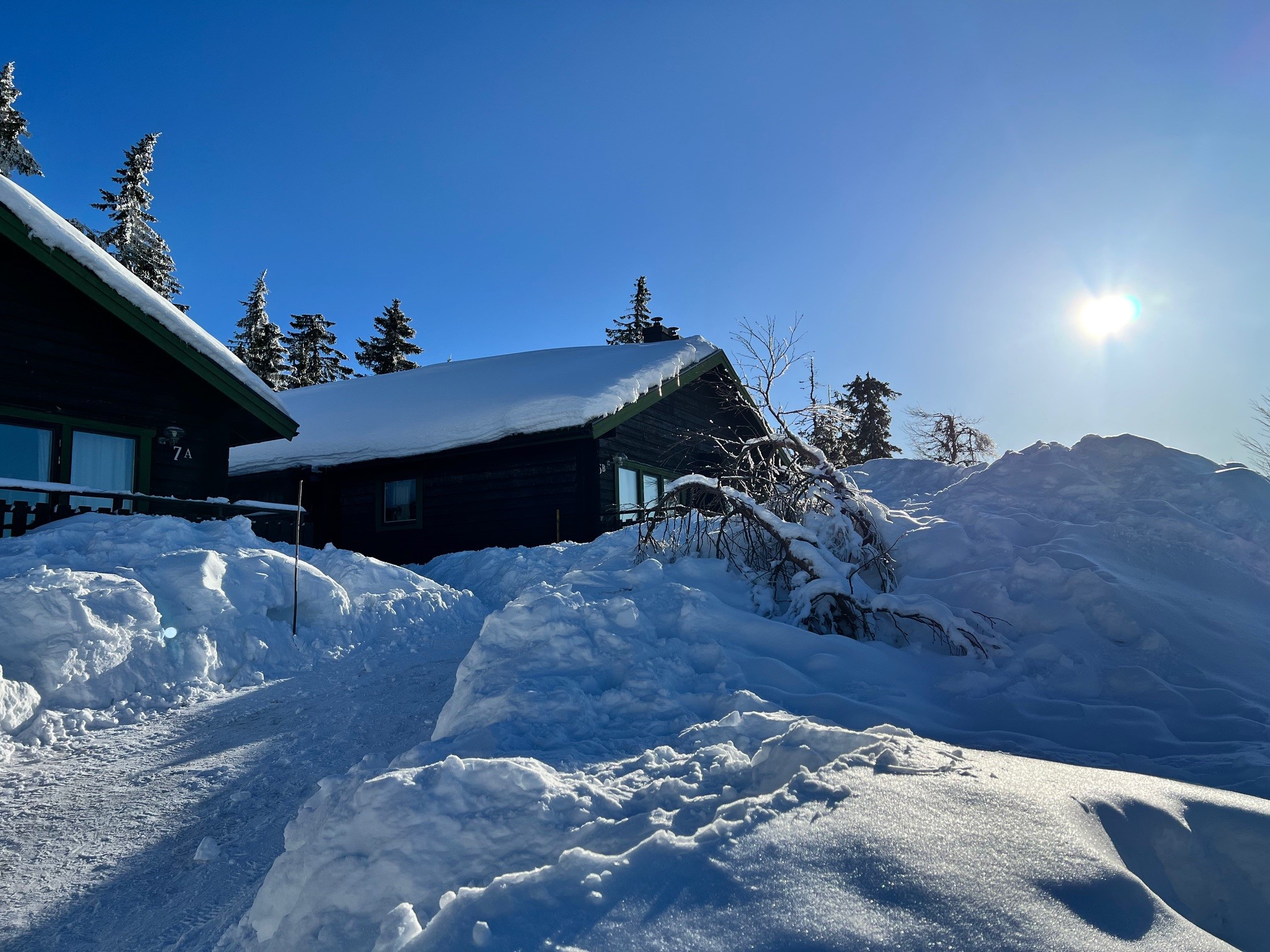 Fjallstuga 7