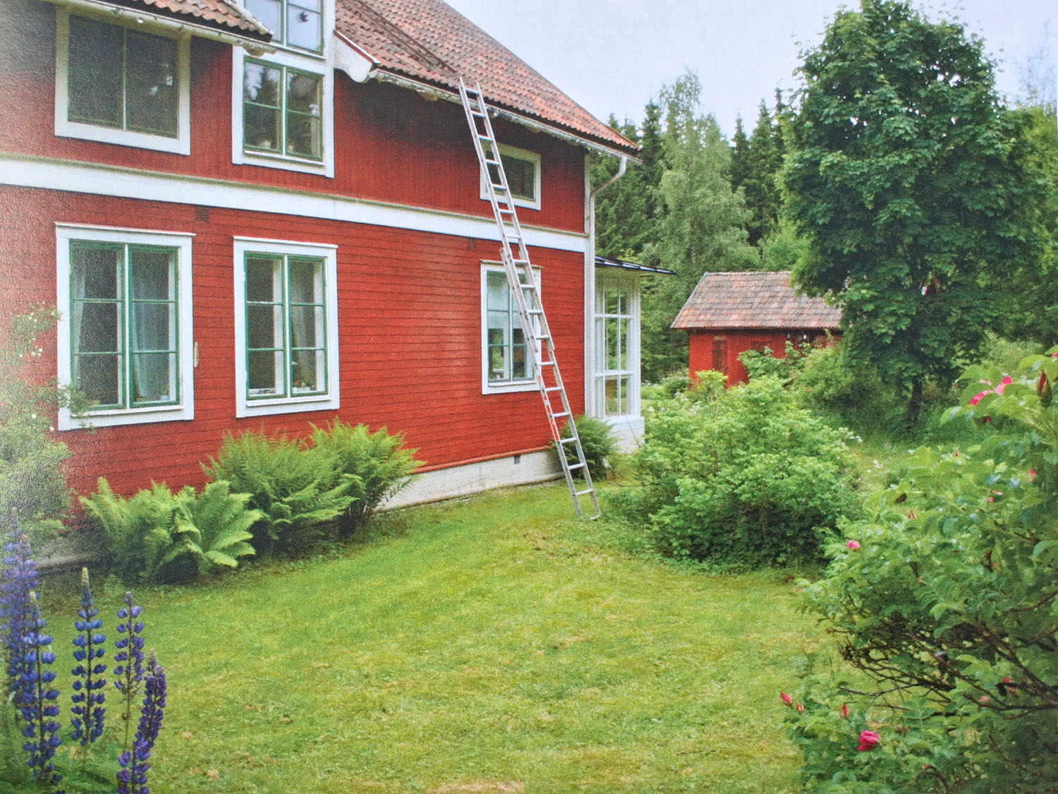 Huset bakifrån