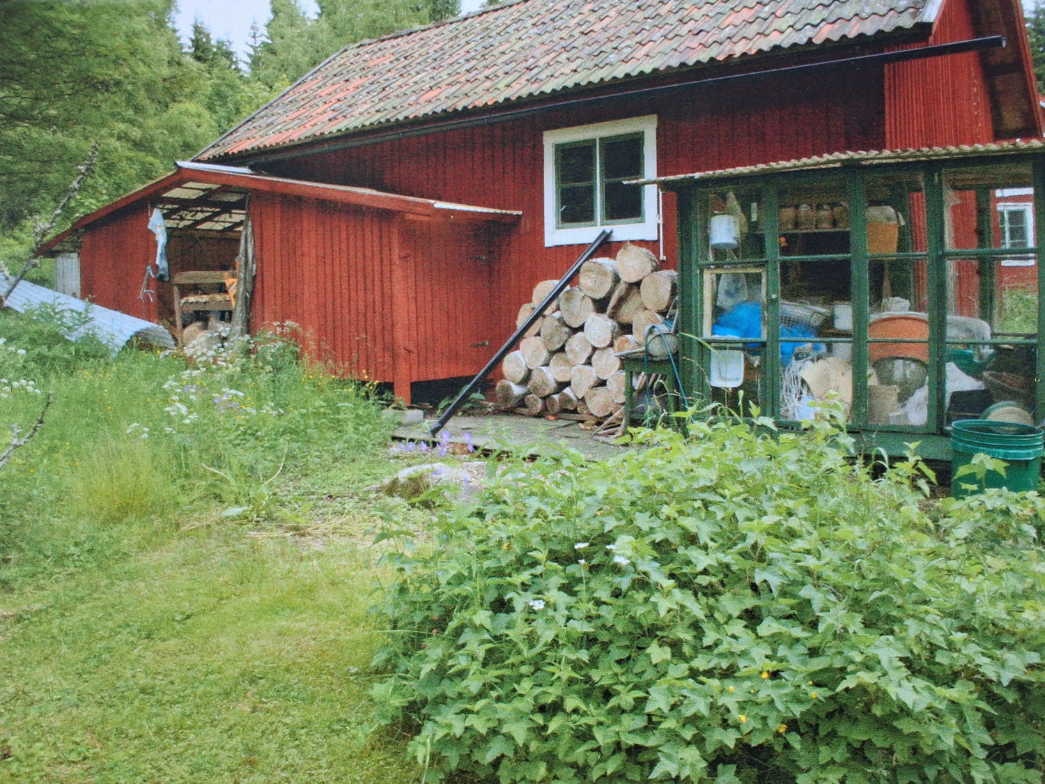 Vedboden från baksidan med glasat växthus
