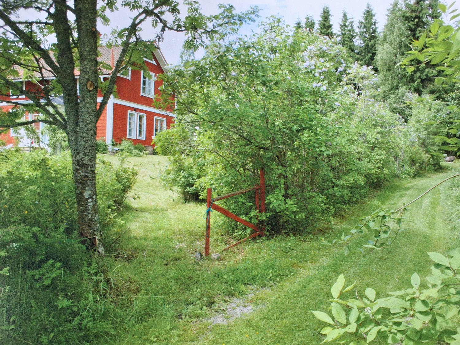 Från vägen upp till huset