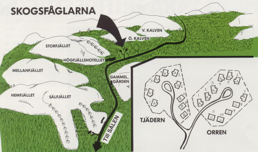 31. Karta/Skogsfåglarna