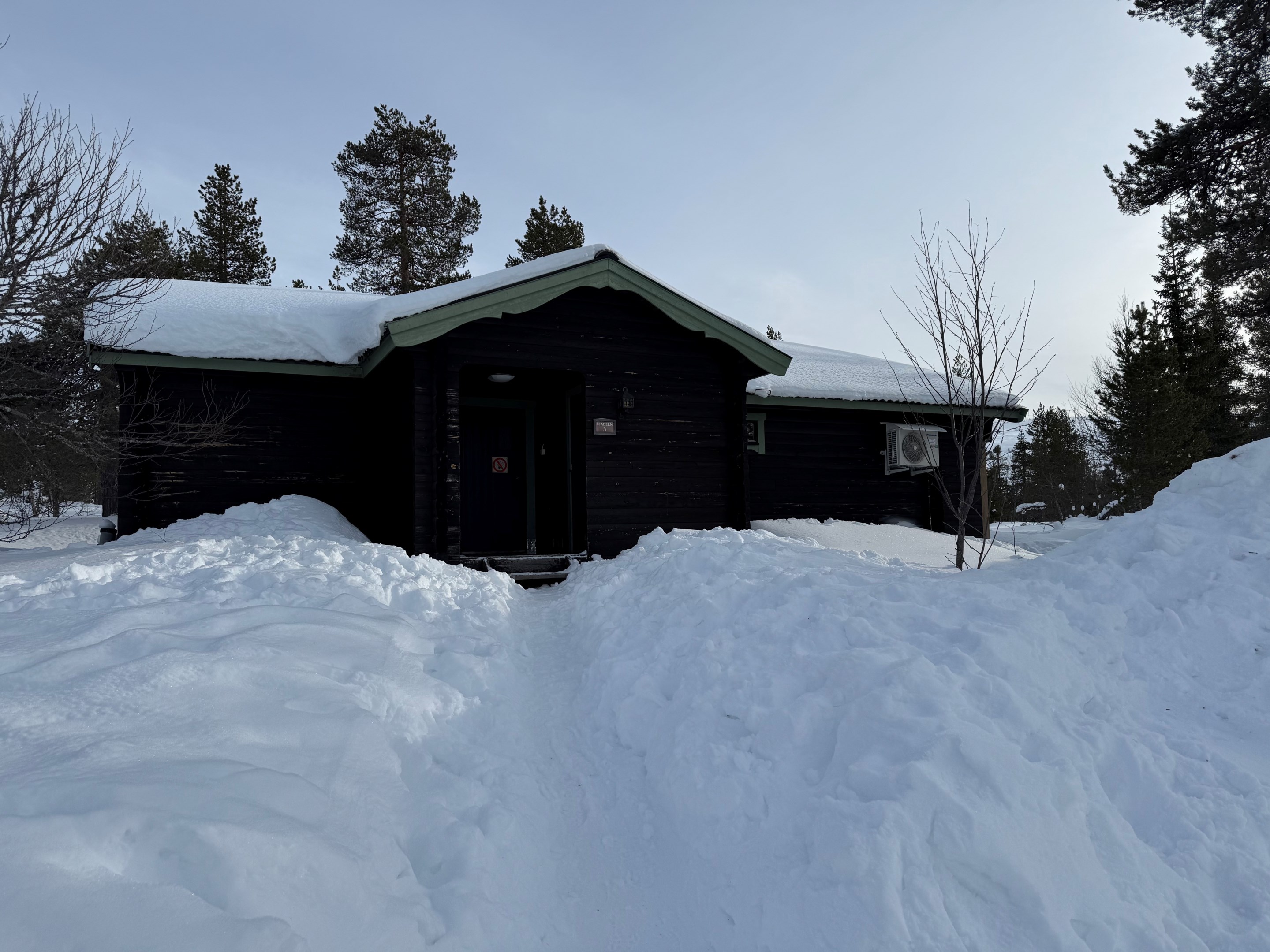 3 Fjällstuga Tjädern Skogsfåglarna