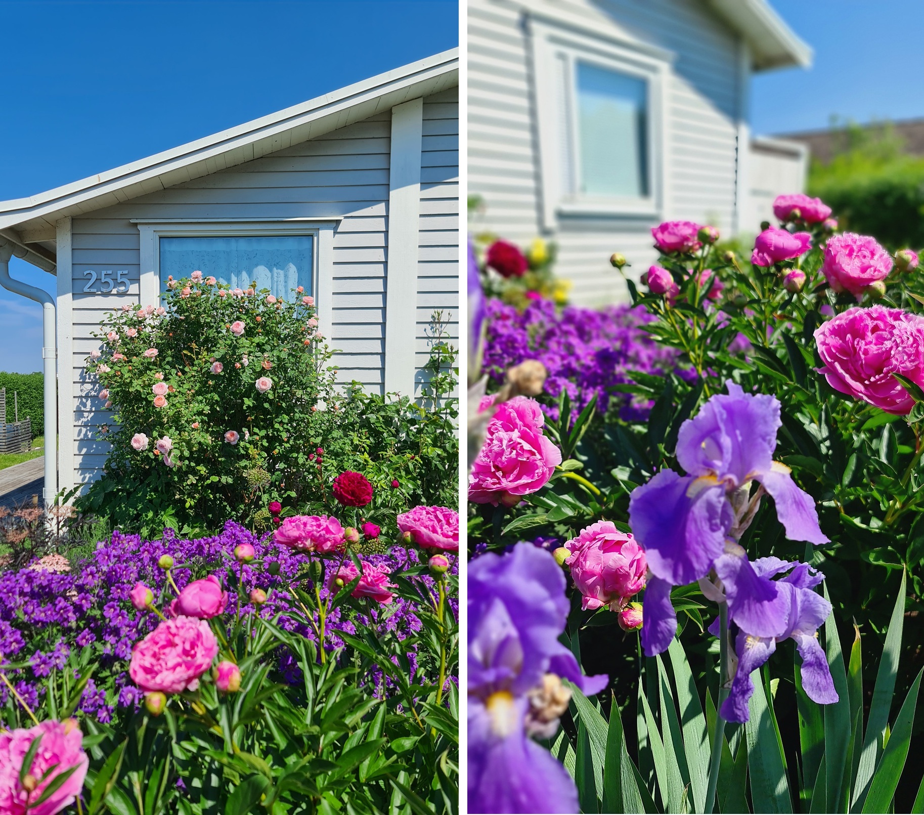 Säljarens sommarbild